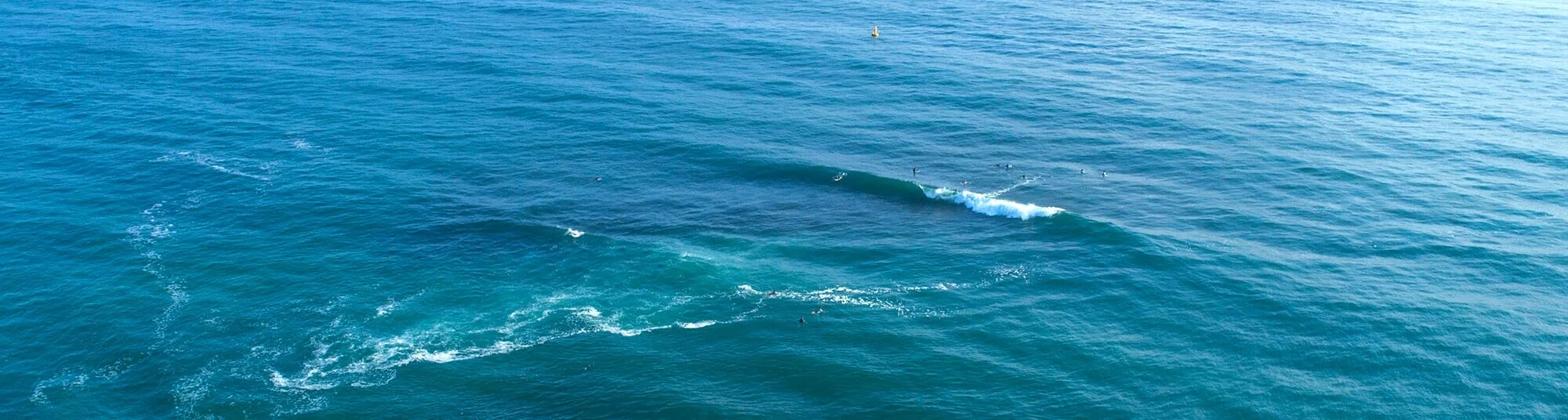 DJI_0240.jpg
