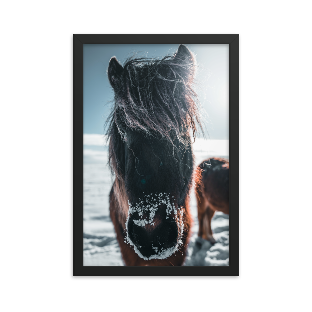 _DSC3149-Edit-2_mockup_Transparent_Transparent_12x18.png