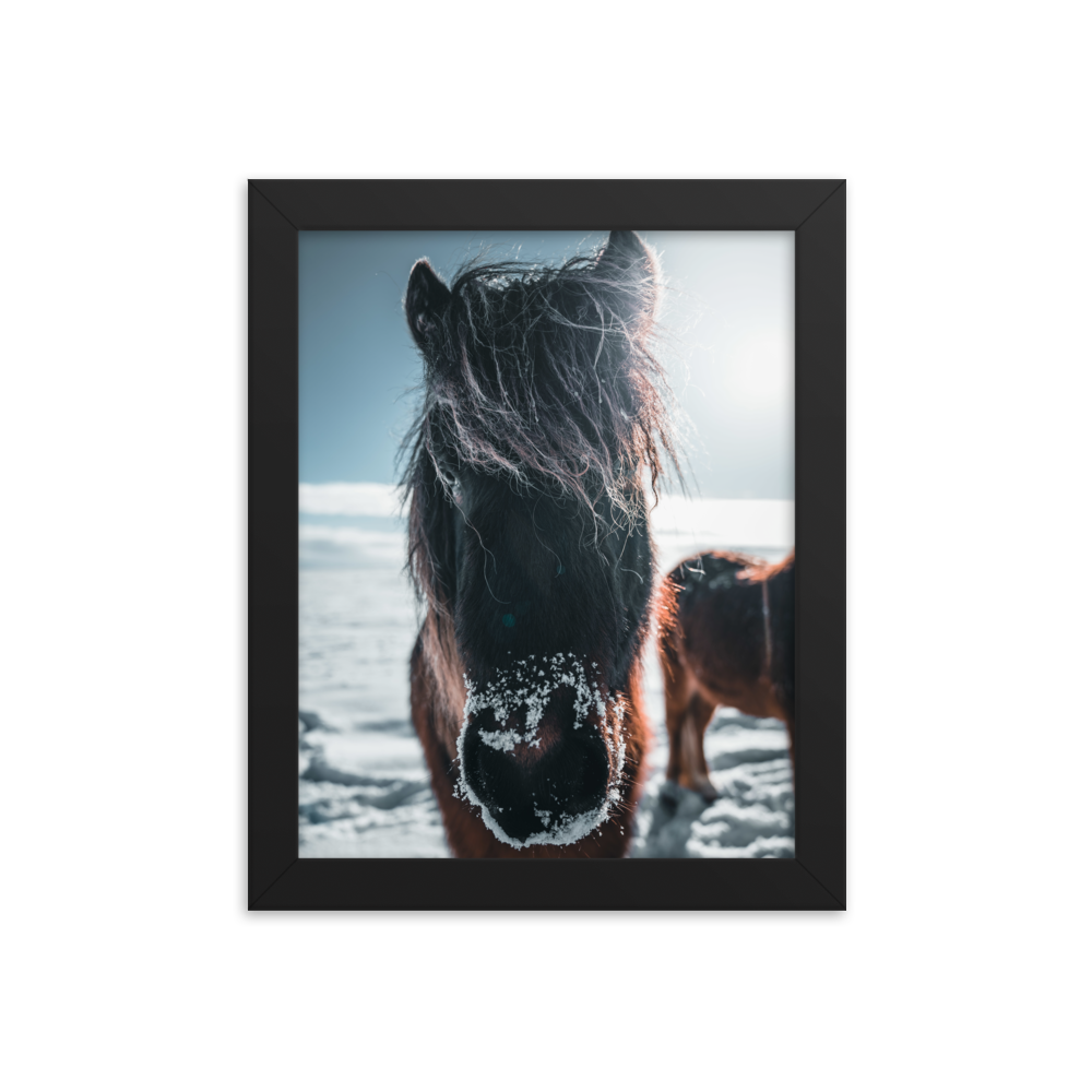 _DSC3149-Edit-2_mockup_Transparent_Transparent_8x10.png