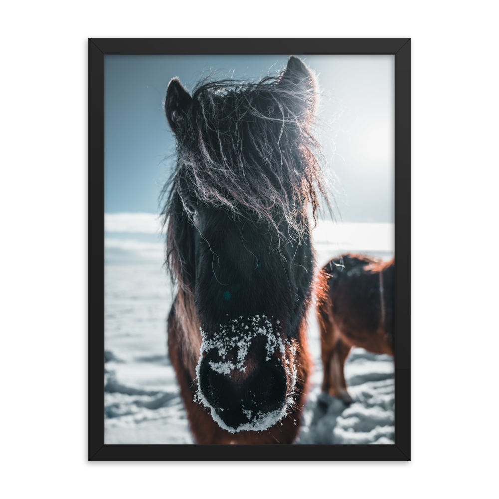 _DSC3149-Edit-2_mockup_Transparent_Transparent_18x24.png