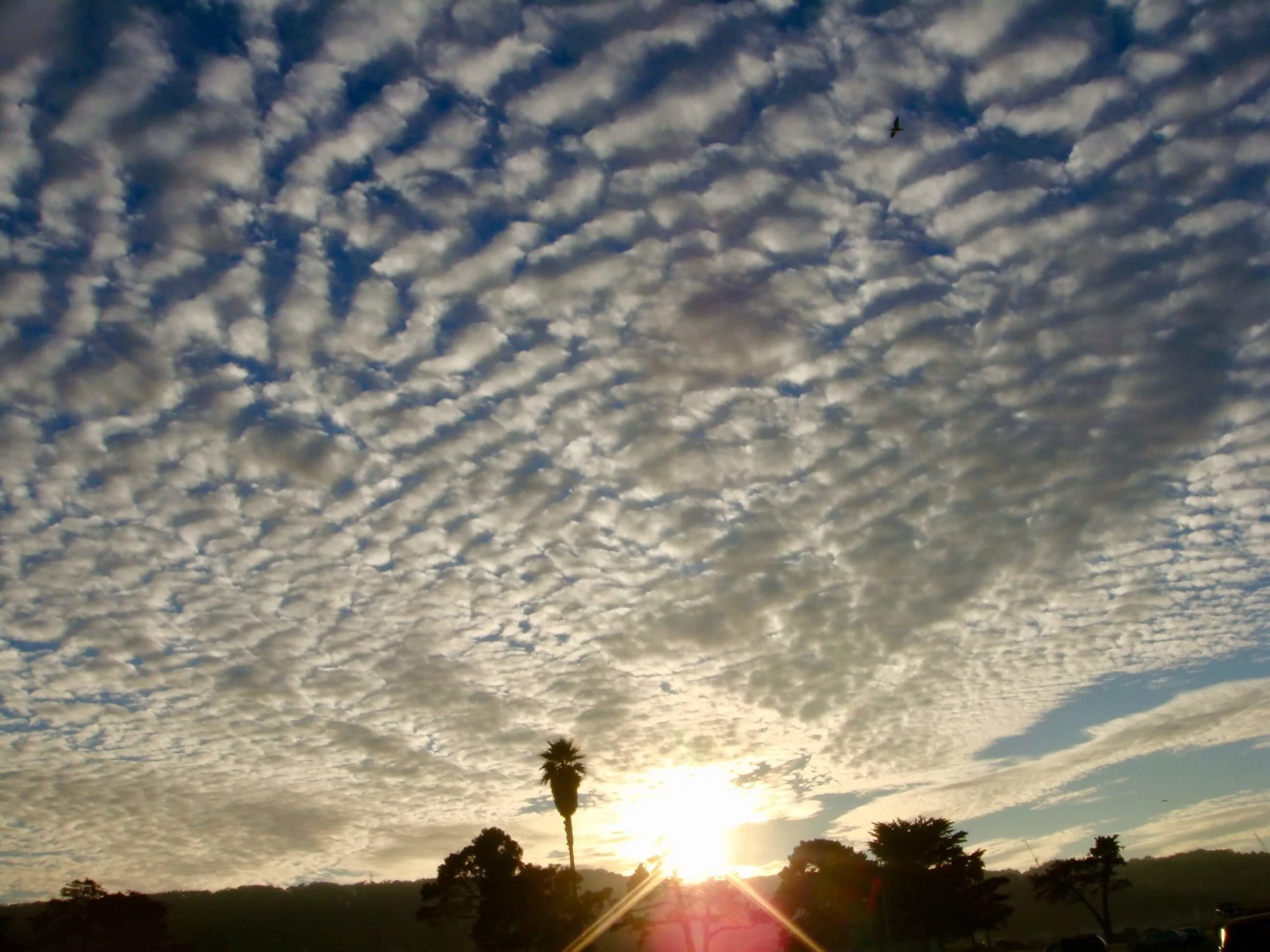 My Philosophy and Guiding Lights