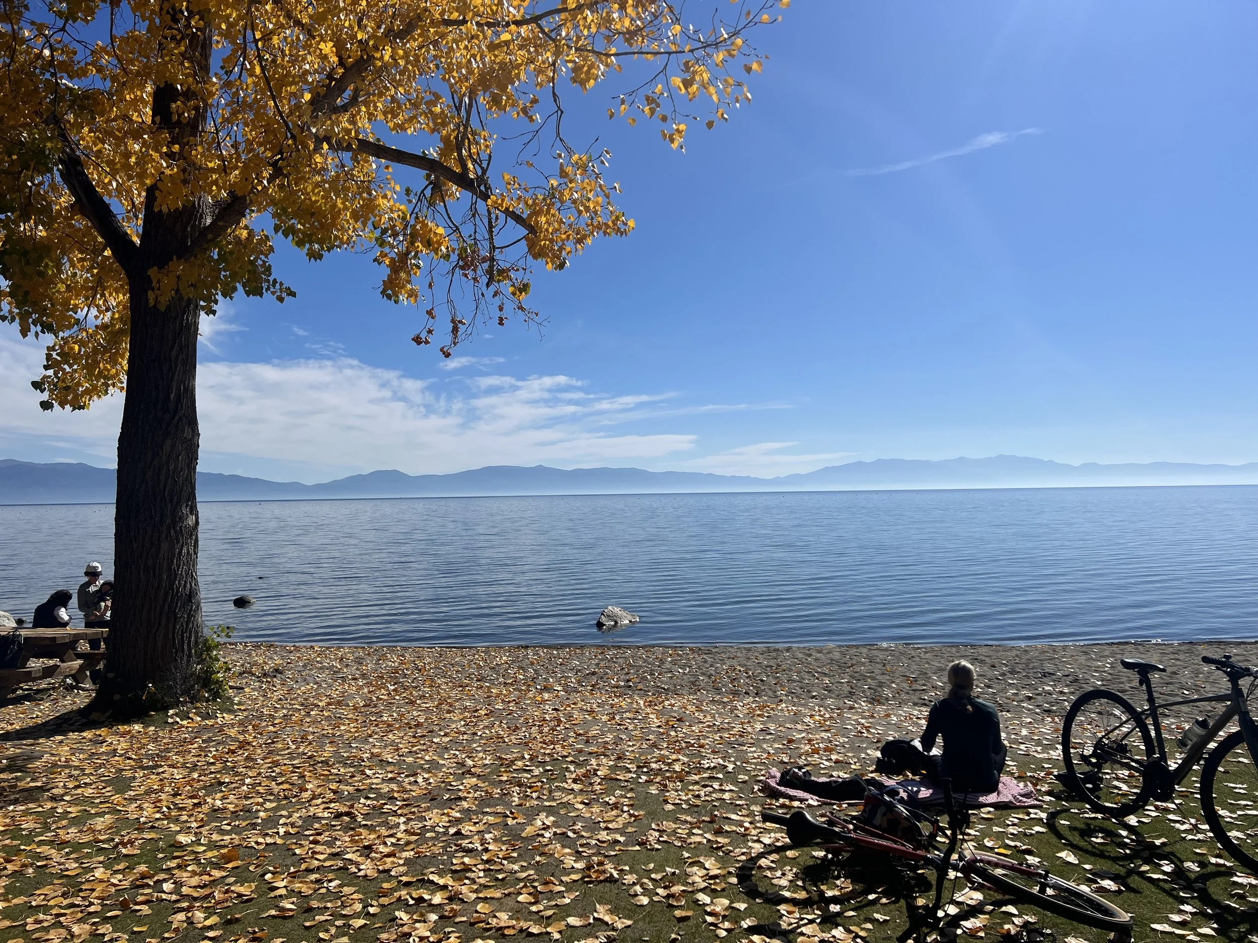 Embrace Impermanence, Improve Executive Functioning