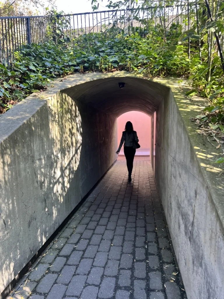 The Leadership Skill You Didn’t Know You Needed: Spotting Gravity Problems