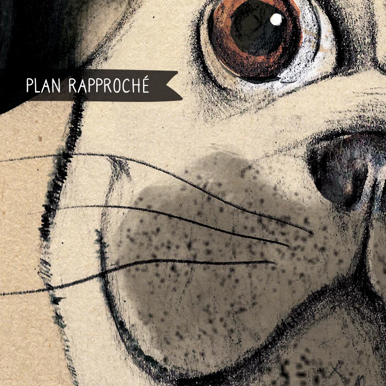 plan-pogo-01.jpg