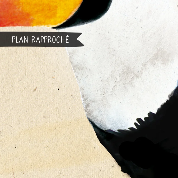 plan-joe-03.jpg