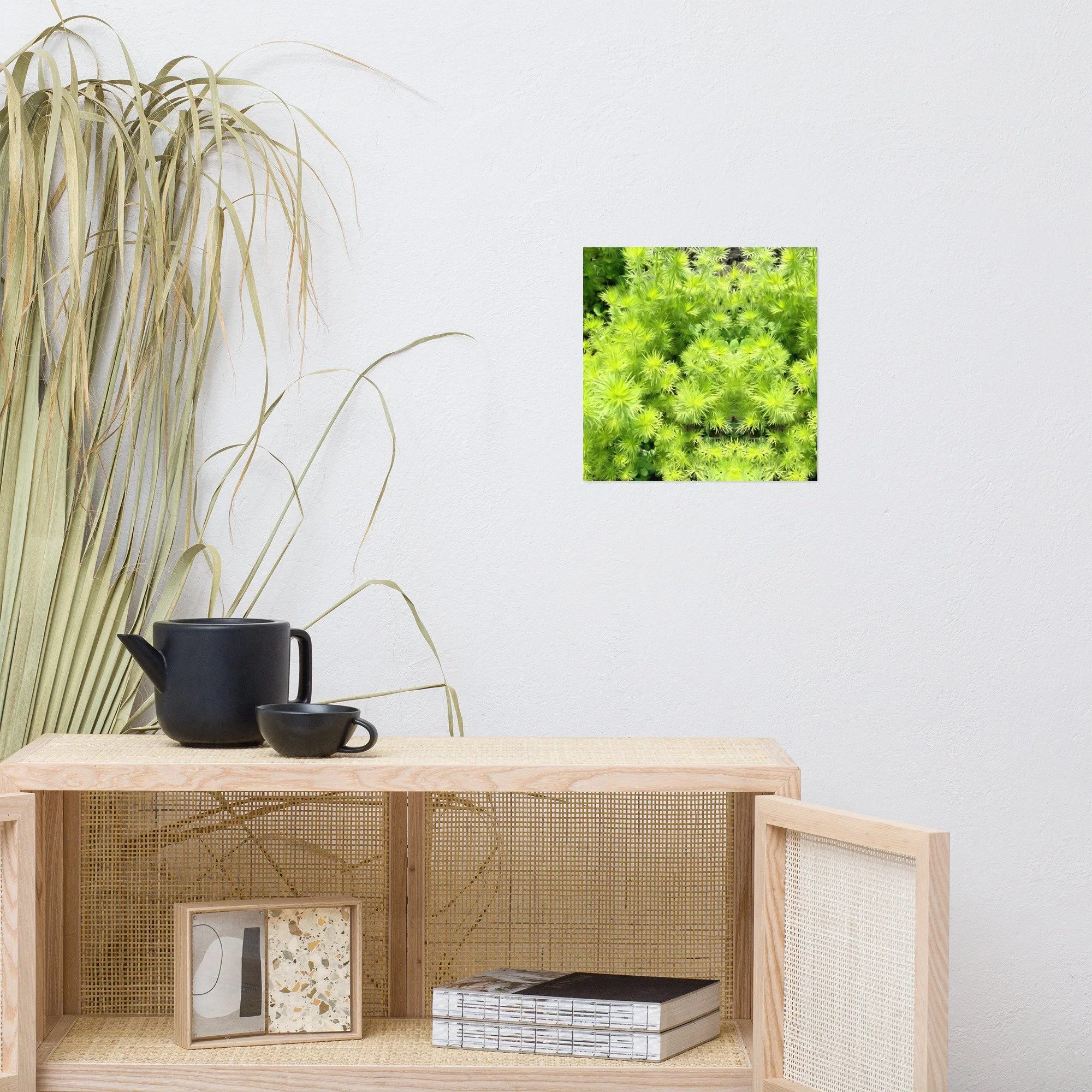 enhanced-matte-paper-poster-(in)-12x12-front-648cd5d5642ca.jpg