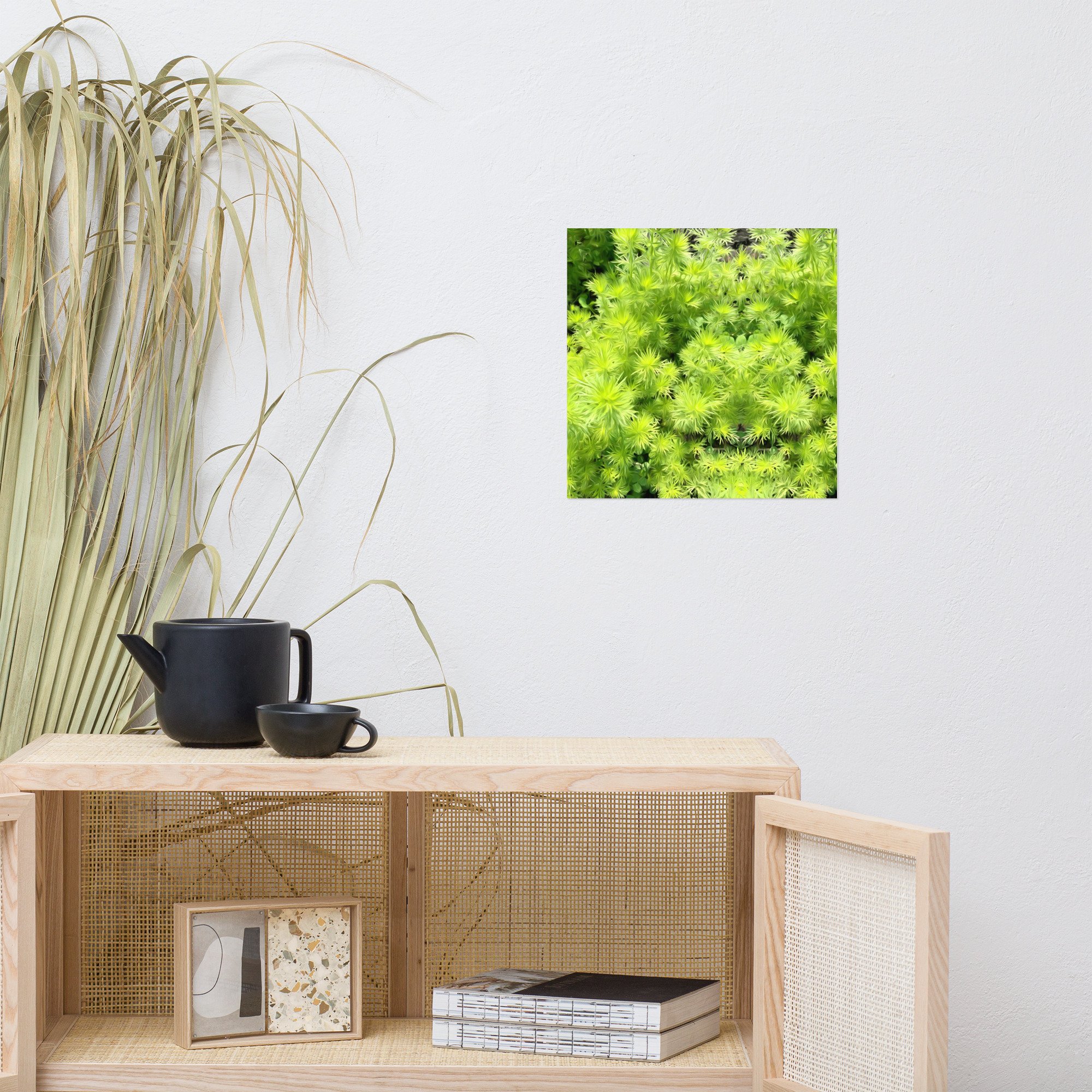 enhanced-matte-paper-poster-(in)-14x14-front-648cd5d56449a.jpg
