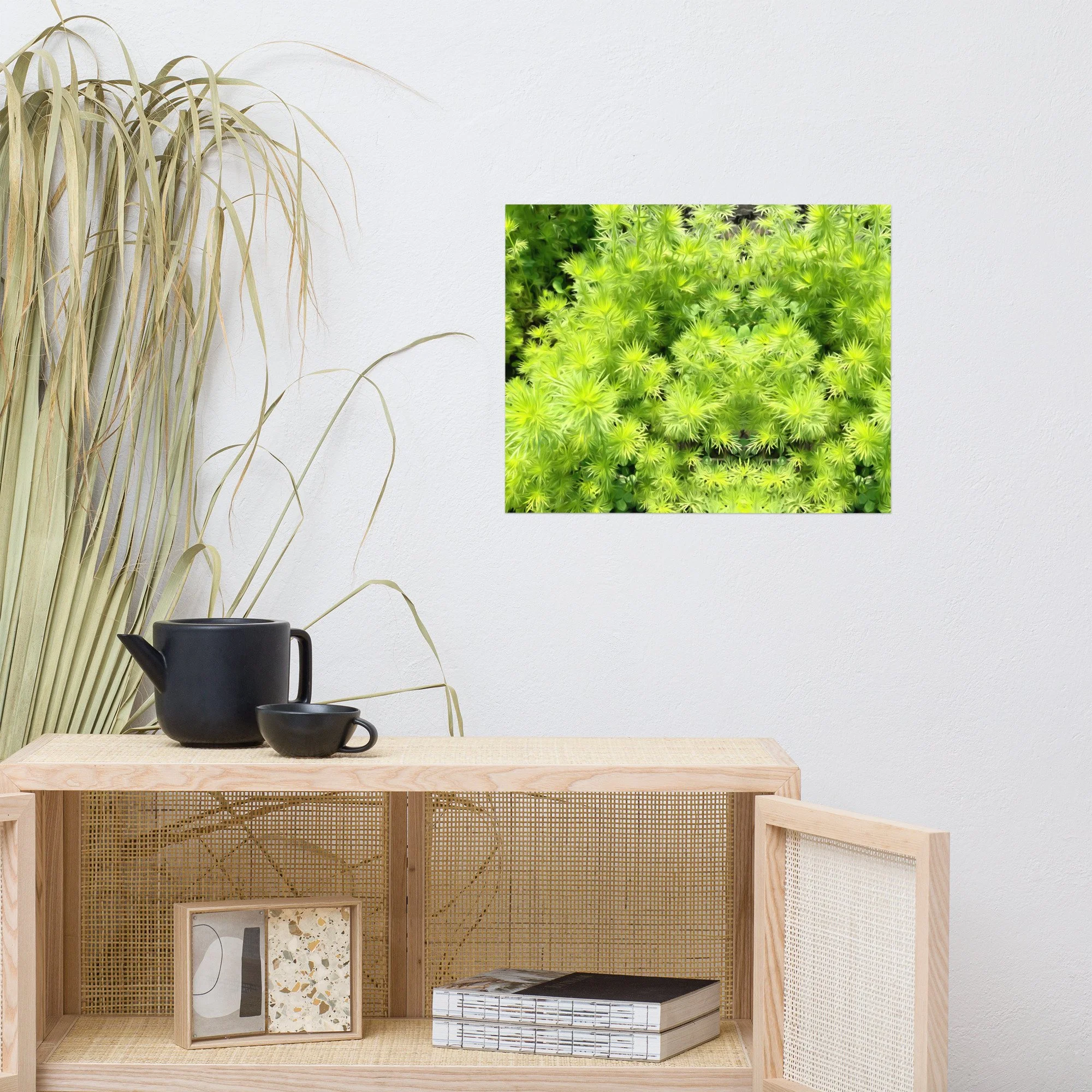 enhanced-matte-paper-poster-(in)-16x20-front-648cd5d5645d4.jpg