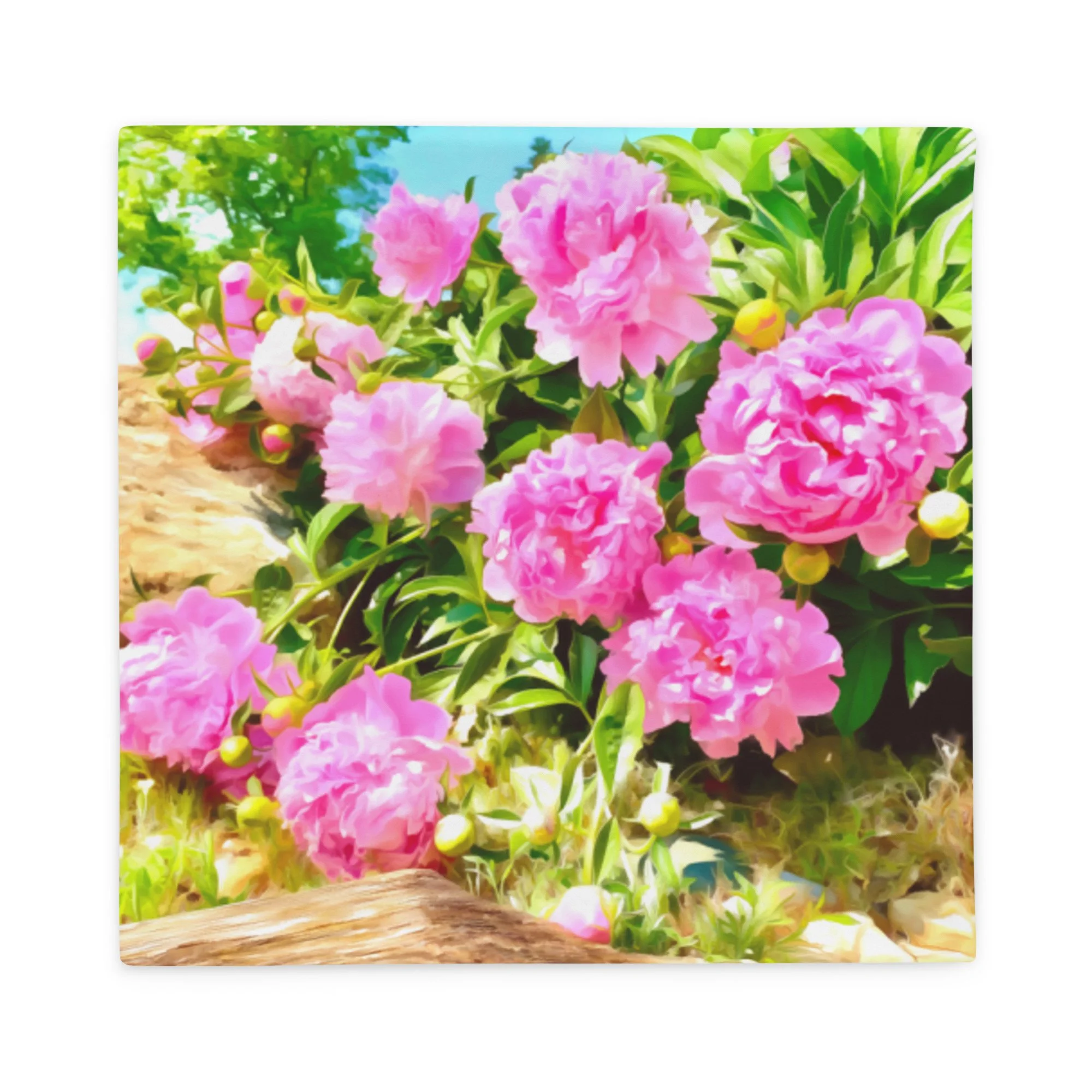 all-over-print-basic-pillow-case-22x22-back-649b2fc2aa79c.jpg