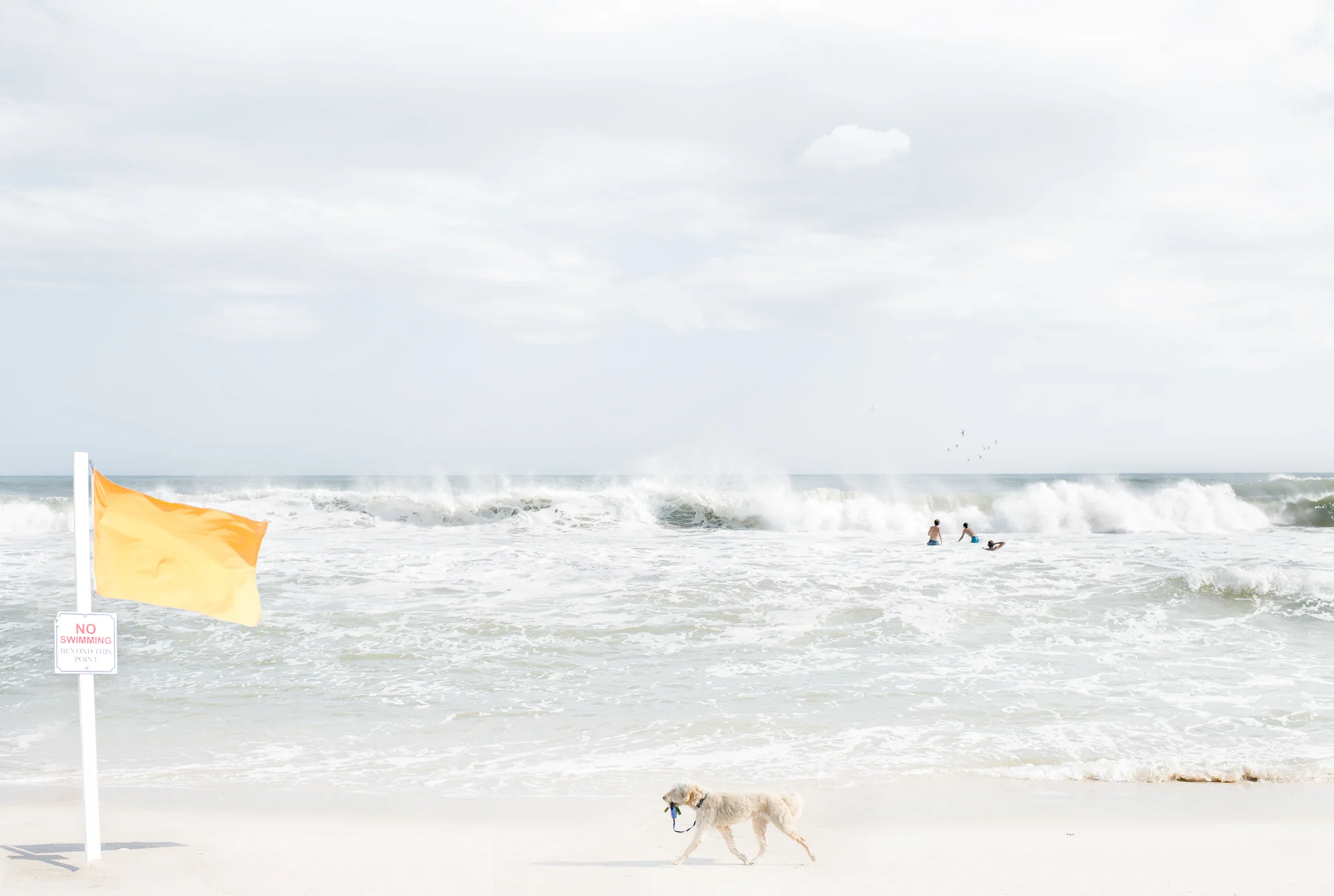 a day at the beach for website-1-3.jpg