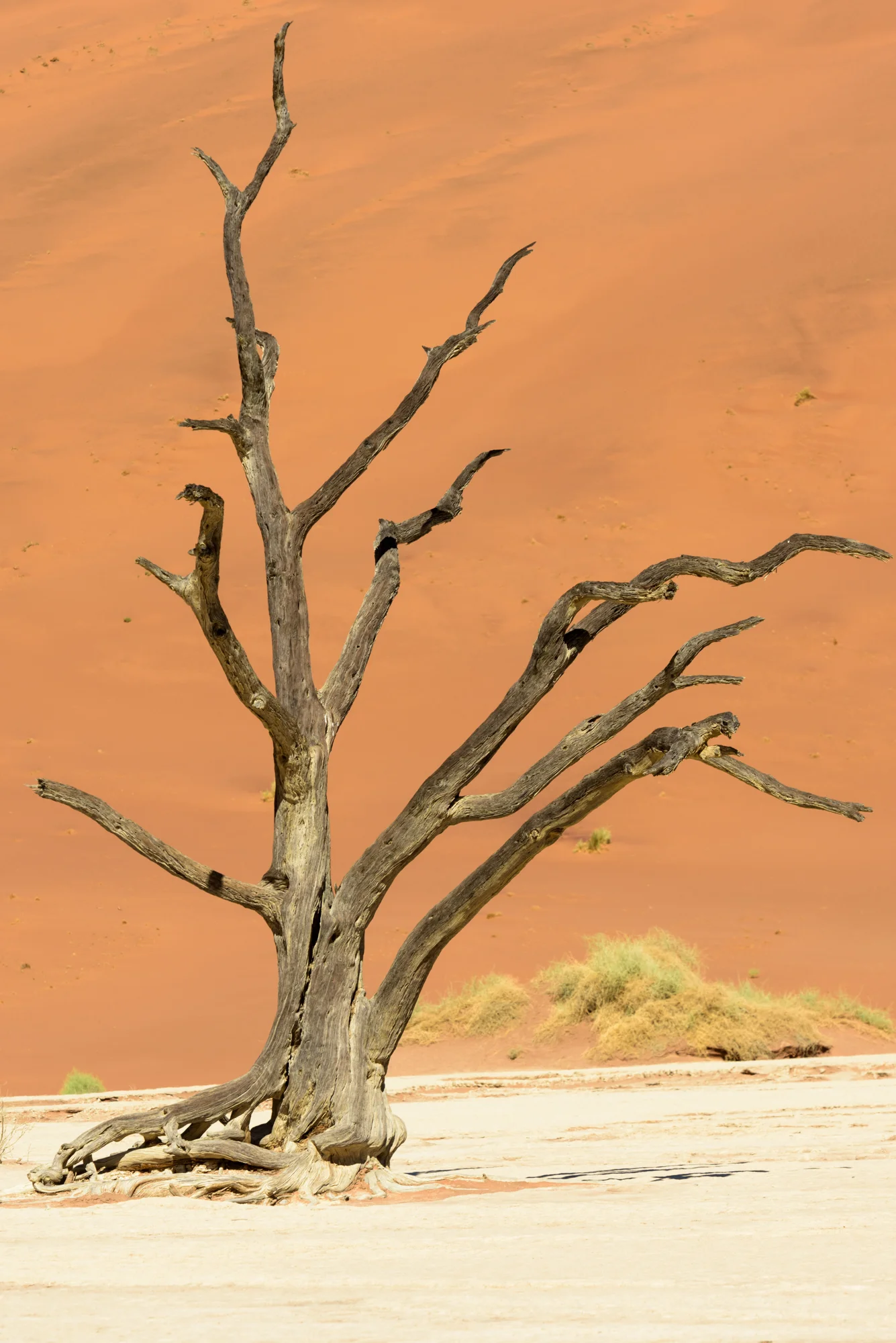 namib-for-webiste-nat-beaut-182_retouch.jpg
