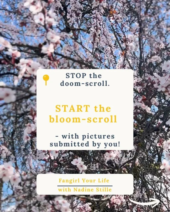 Stop doom-scrolling, start 🌺bloom-scrolling🌺with beautiful blooms from across Canada, Ireland, and the UK. Thank you to everyone who submitted their pics to contribute to this colourful, uplifting post 💛💛💛

#fangirlyourlife #bloomscrolling #joyo