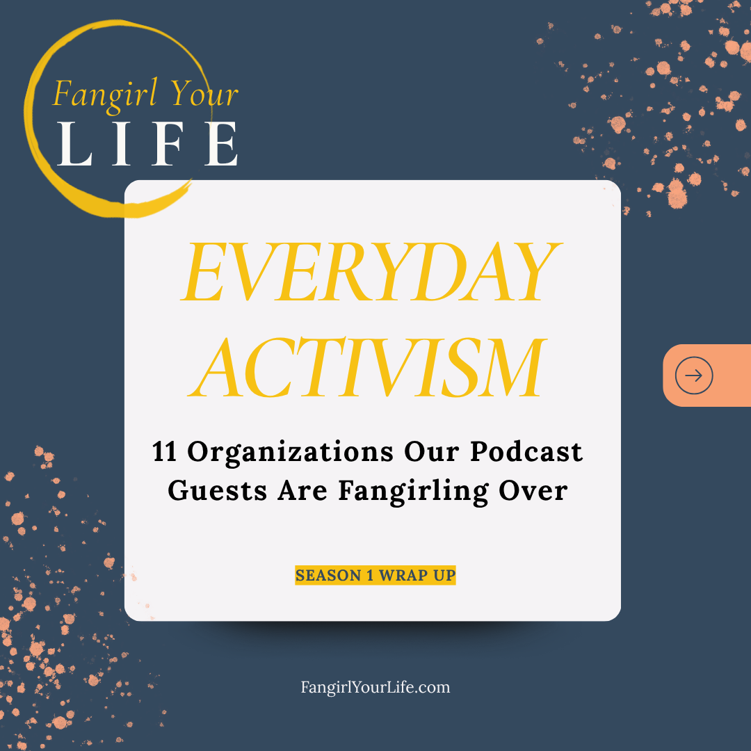 Everyday Activism 11 Organizations Our Podcast Guests Are Fangirling Over