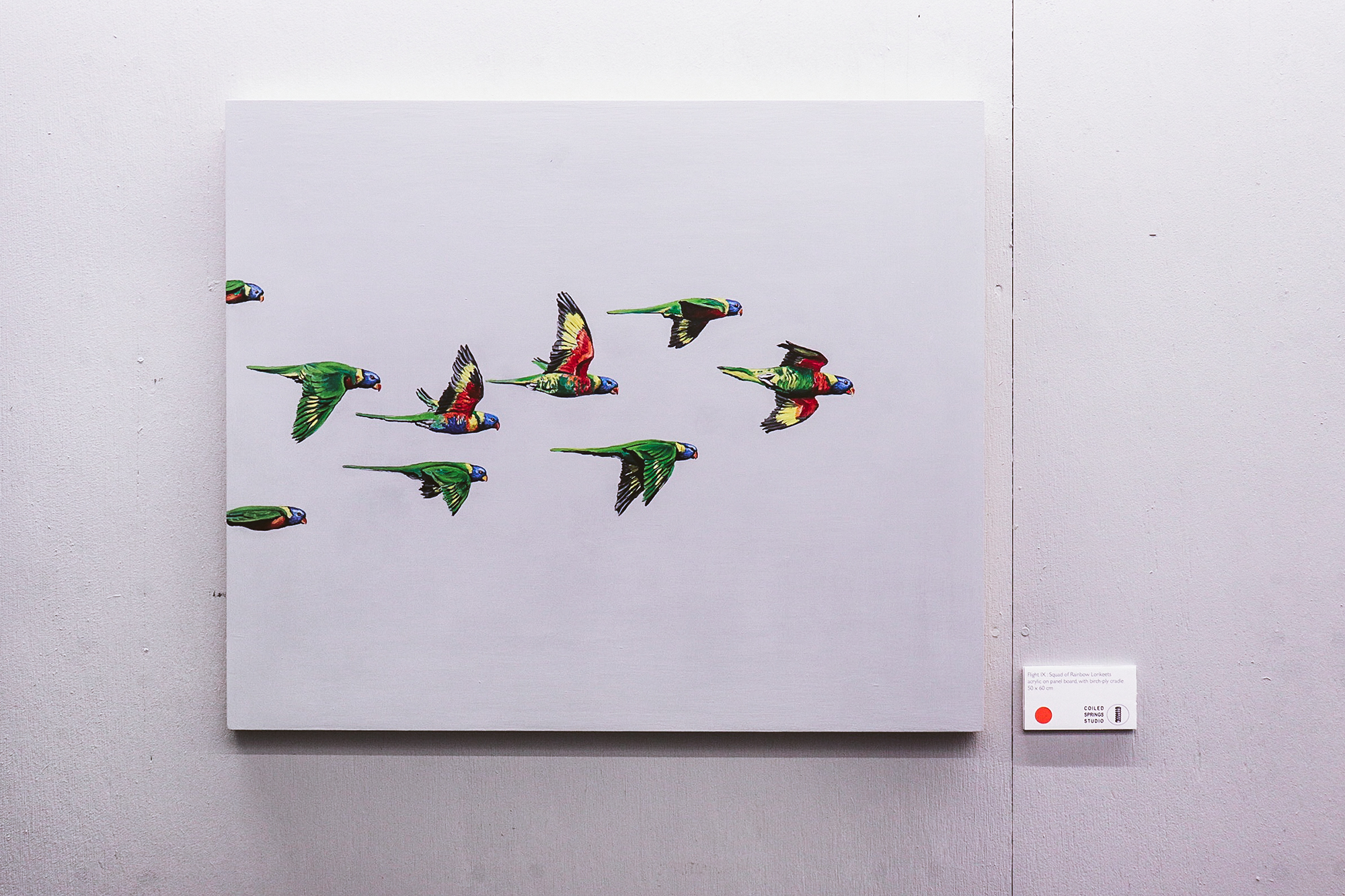 Flight IX: Squad of Rainbow Lorikeets