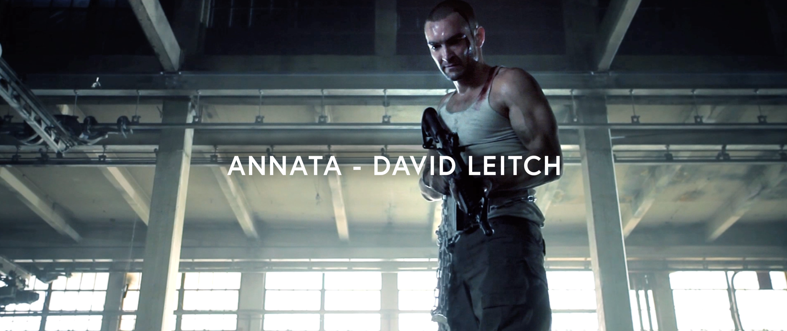 Annata - David Leitch