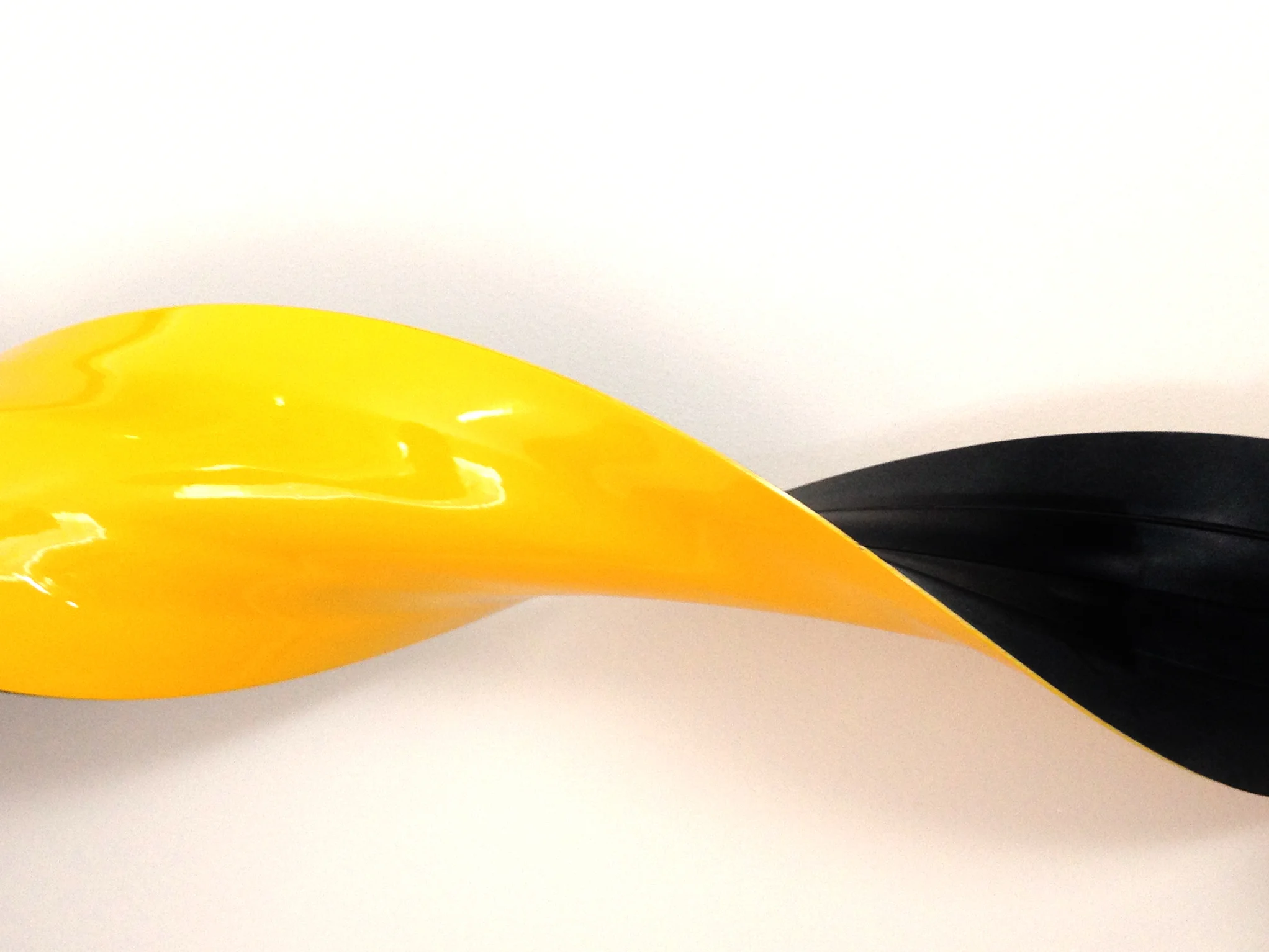Flexi Paint Crop.jpg
