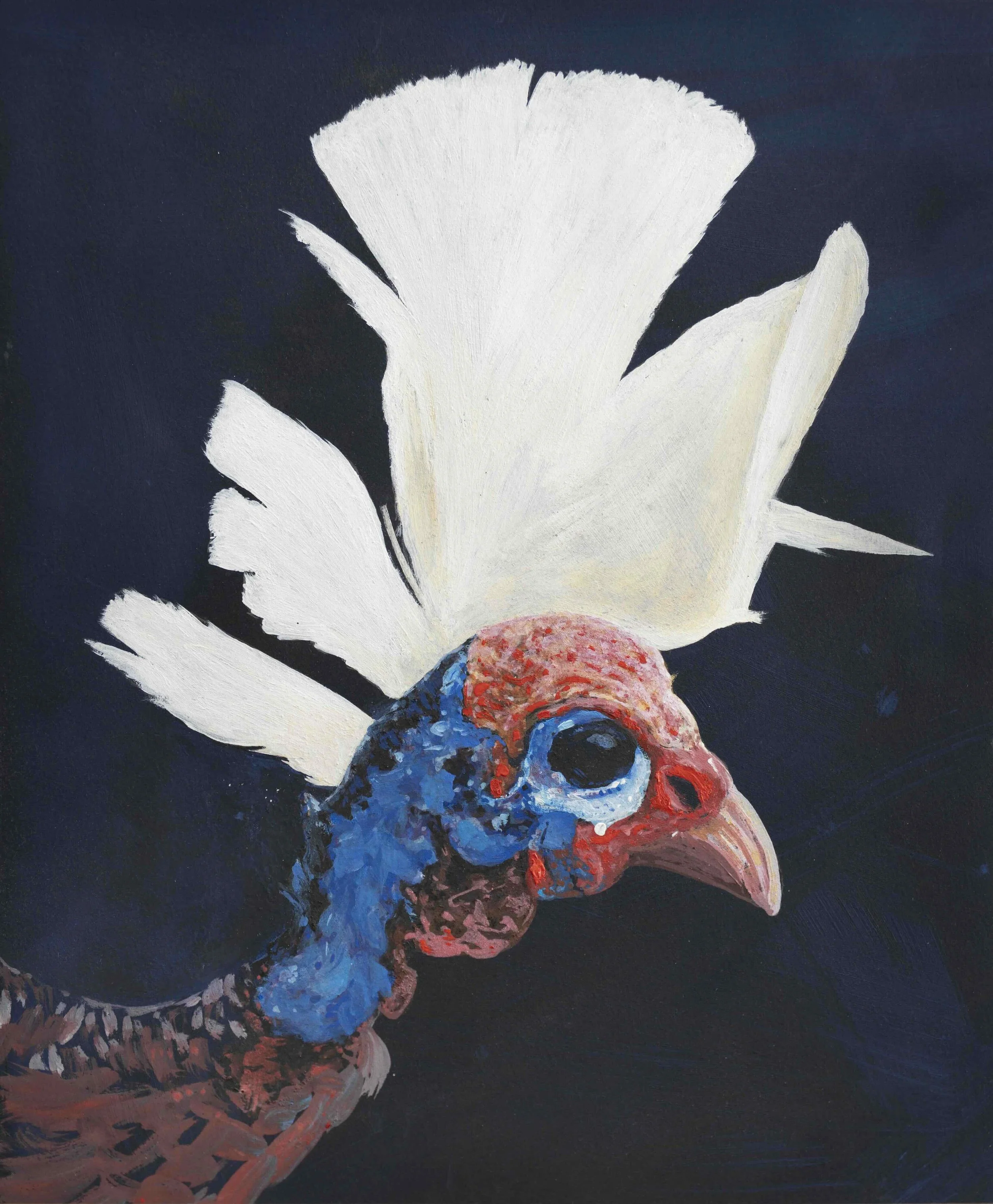 Klaus Hartmann Vögel von Welt #10.jpeg