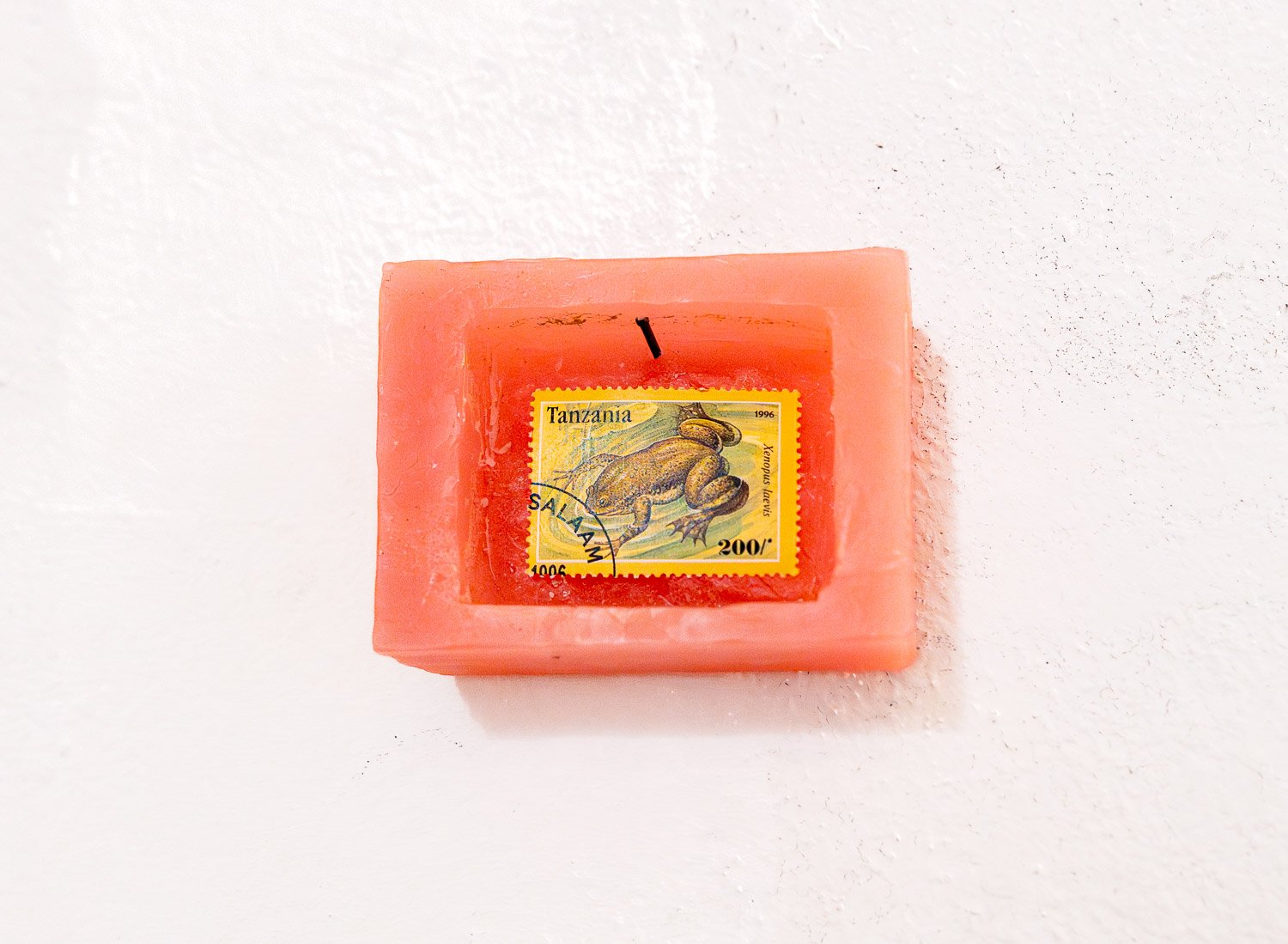 0016_0015_Si-Ying Fung_hCG_2.jpg