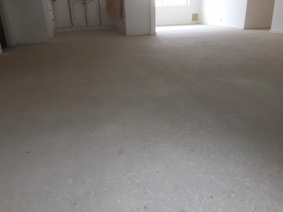 15037317_1860935044140301_5022372703667213233_n.jpg