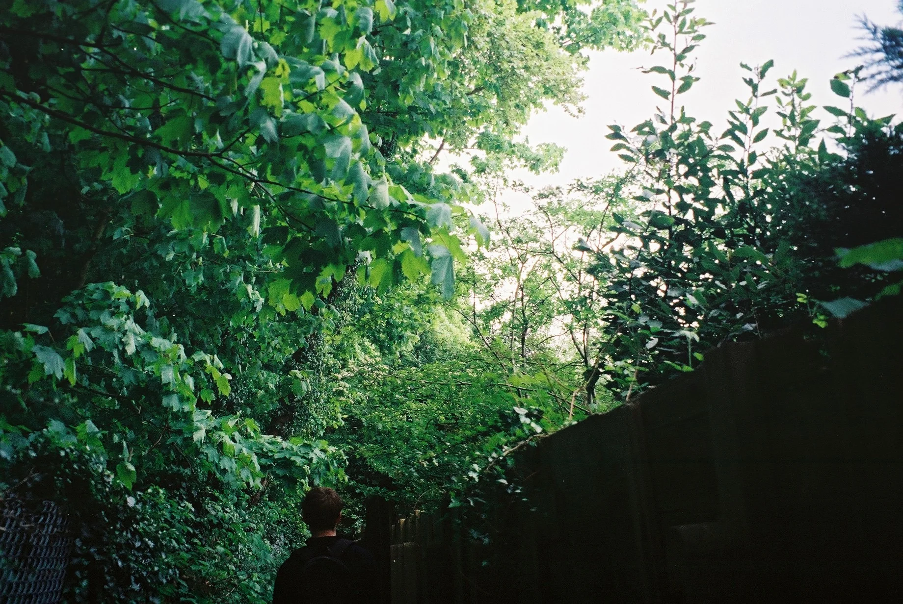Why I Love Film Photography