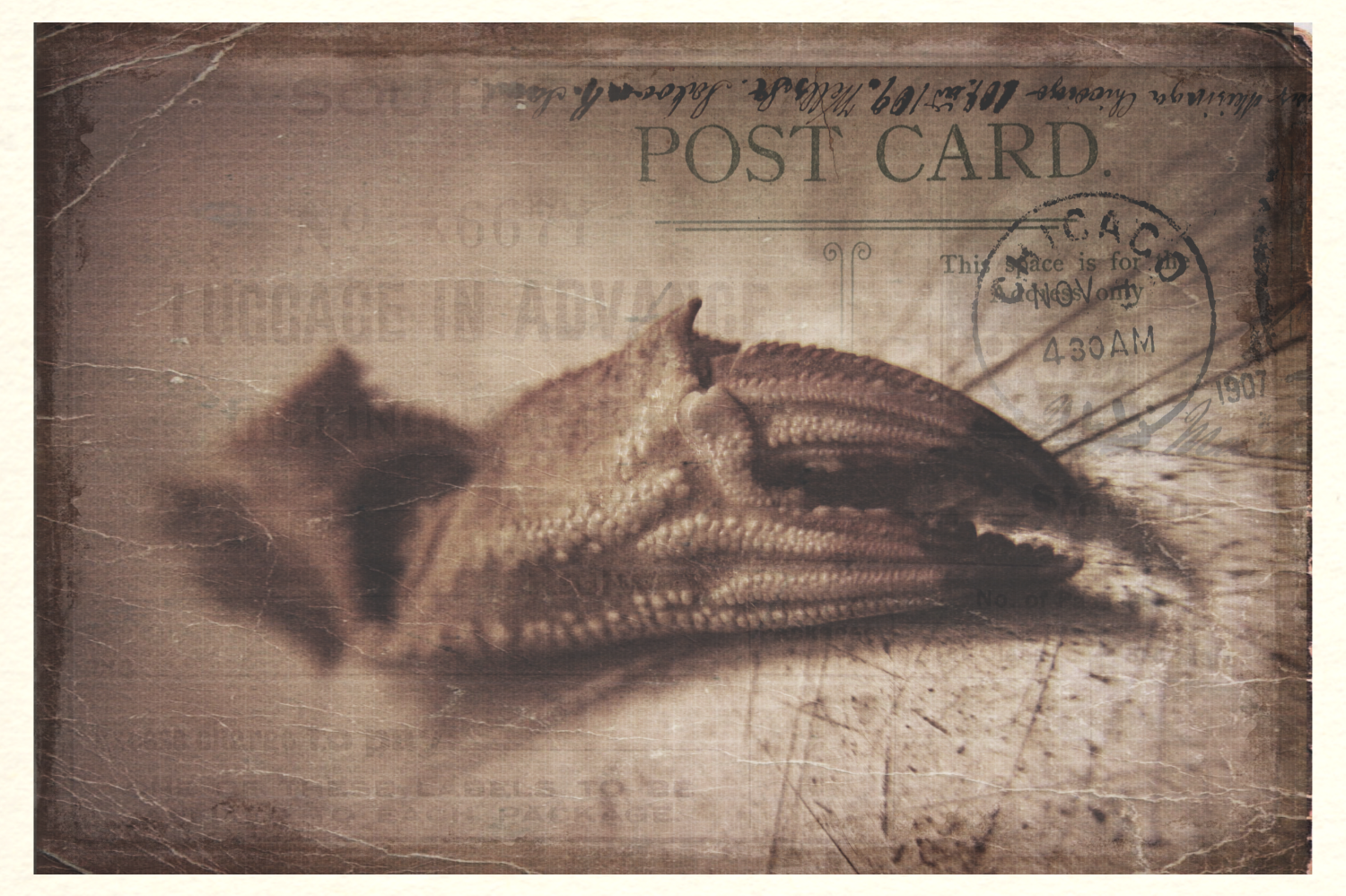 Postcard 01: Holidays