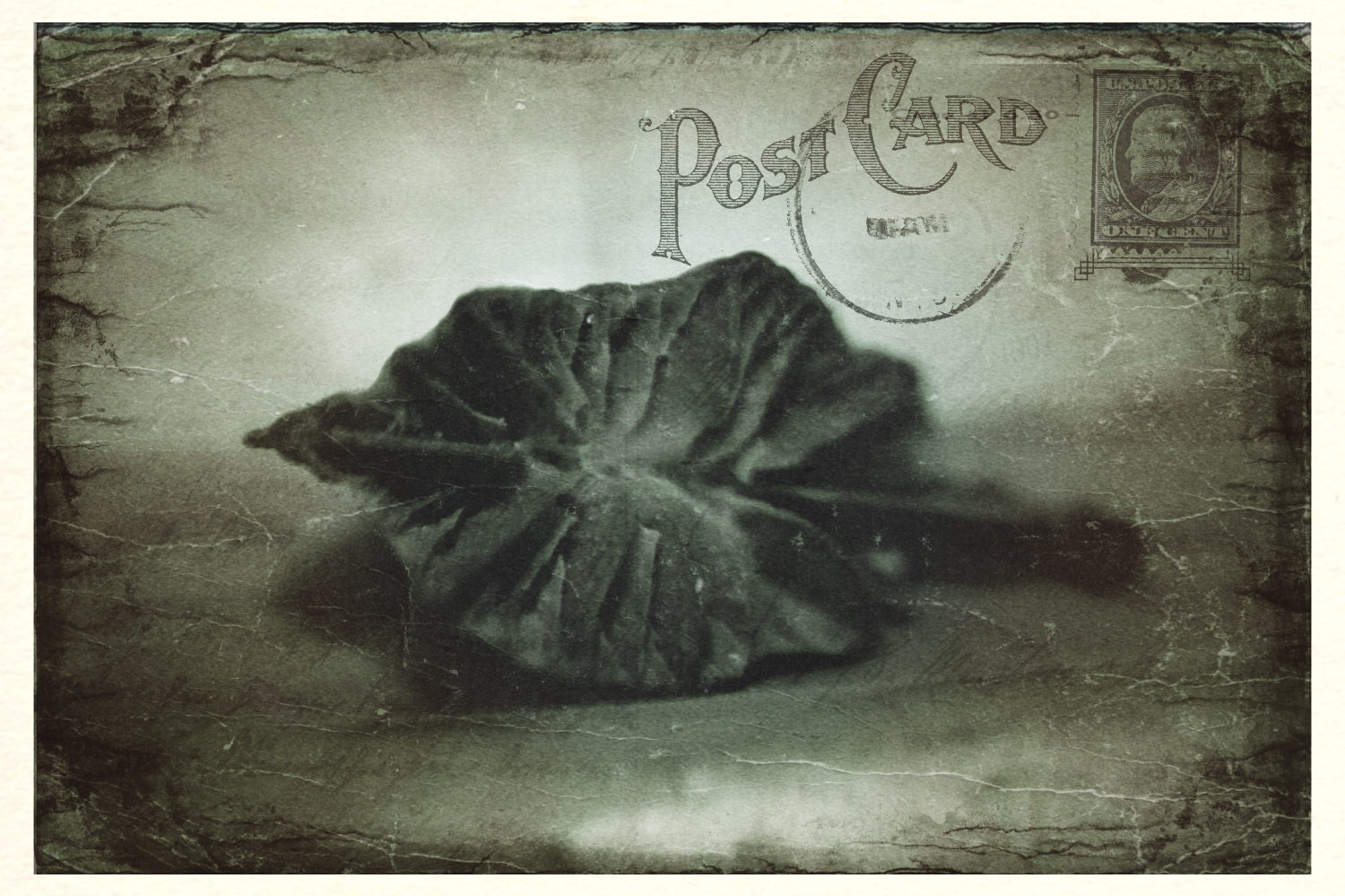 Postcard 02: Precious Things