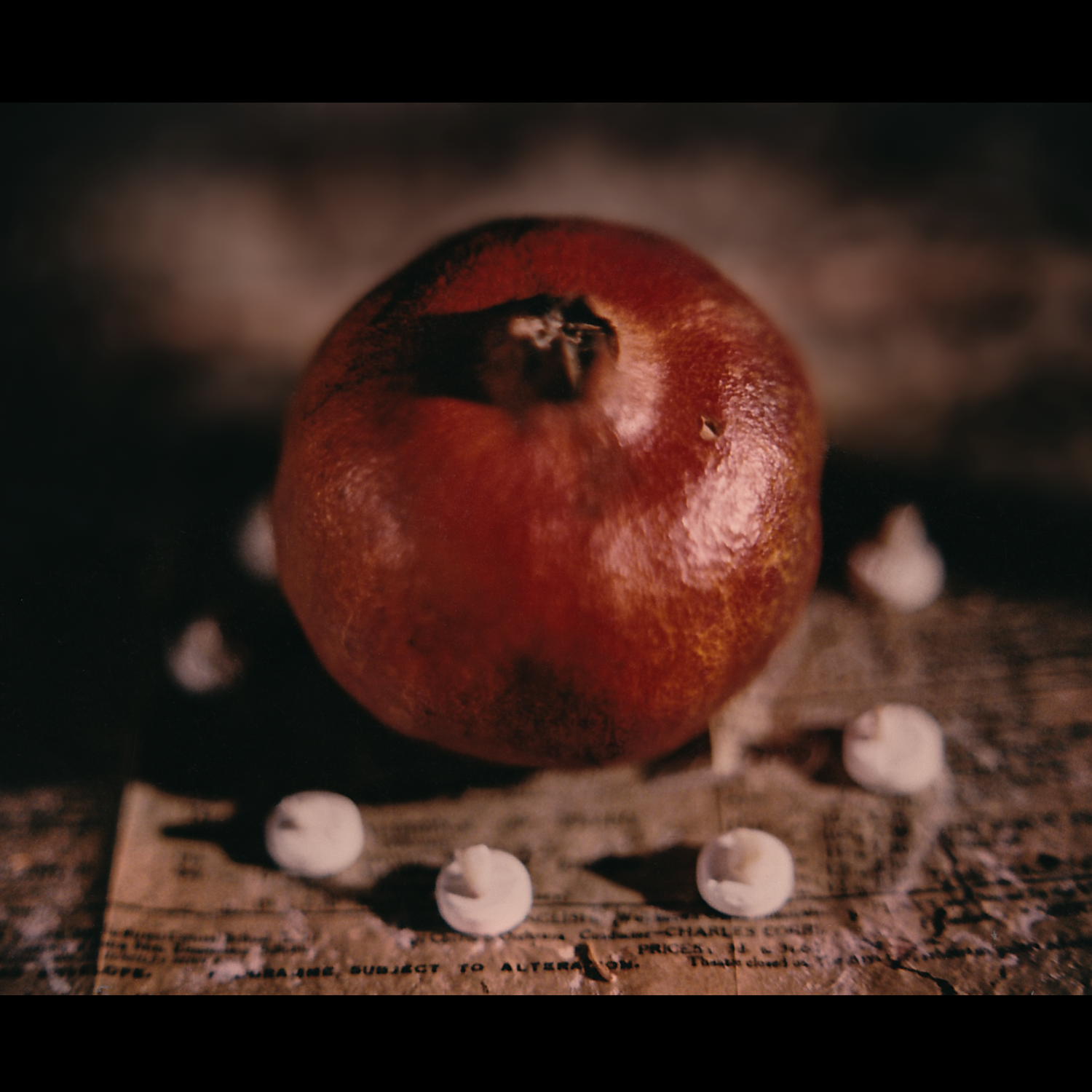  Showbiz Wilderness: The Colour of the Pomegranate 