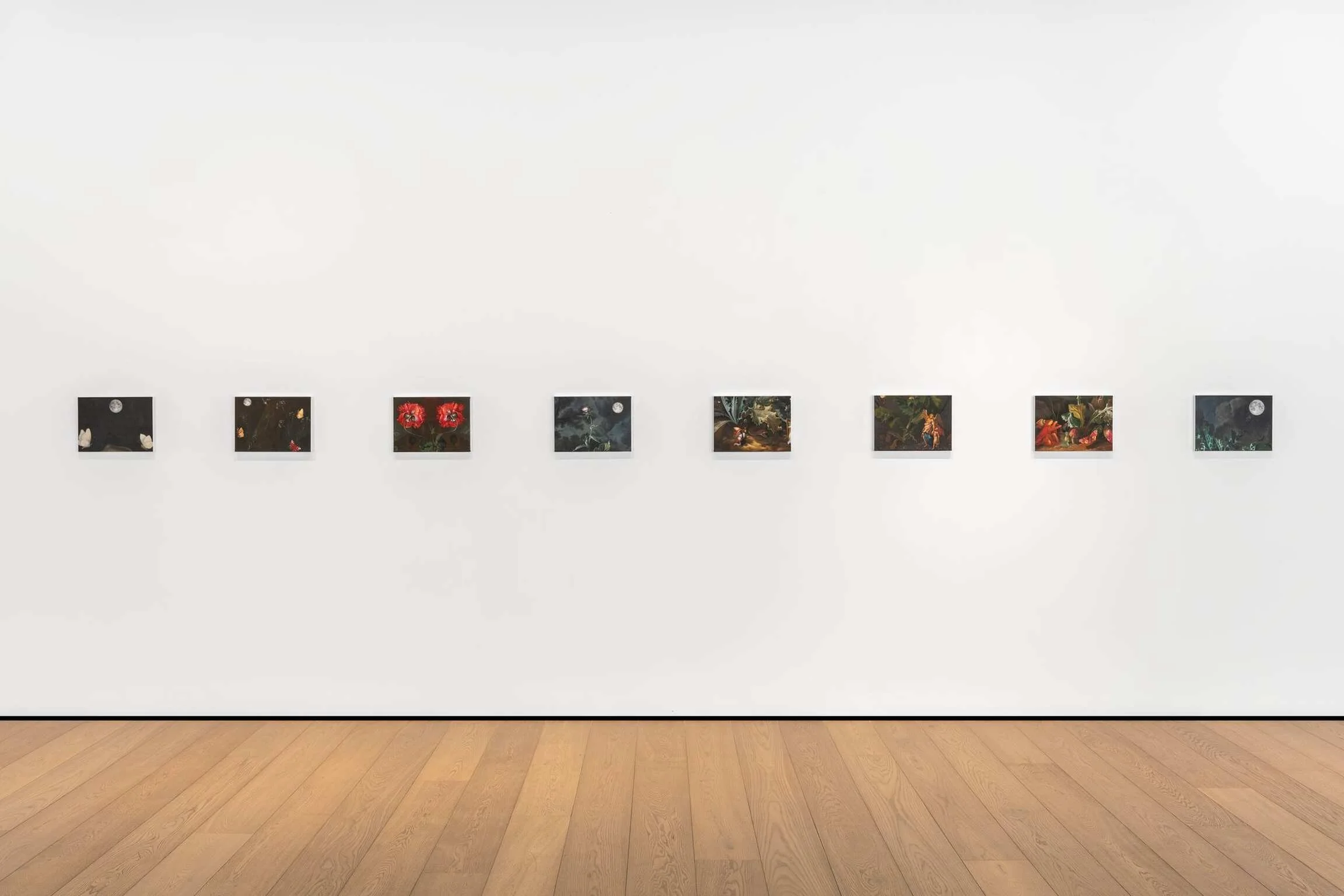 TED PIM INSTALLATION VIEW ARGL 2024_105038.jpeg