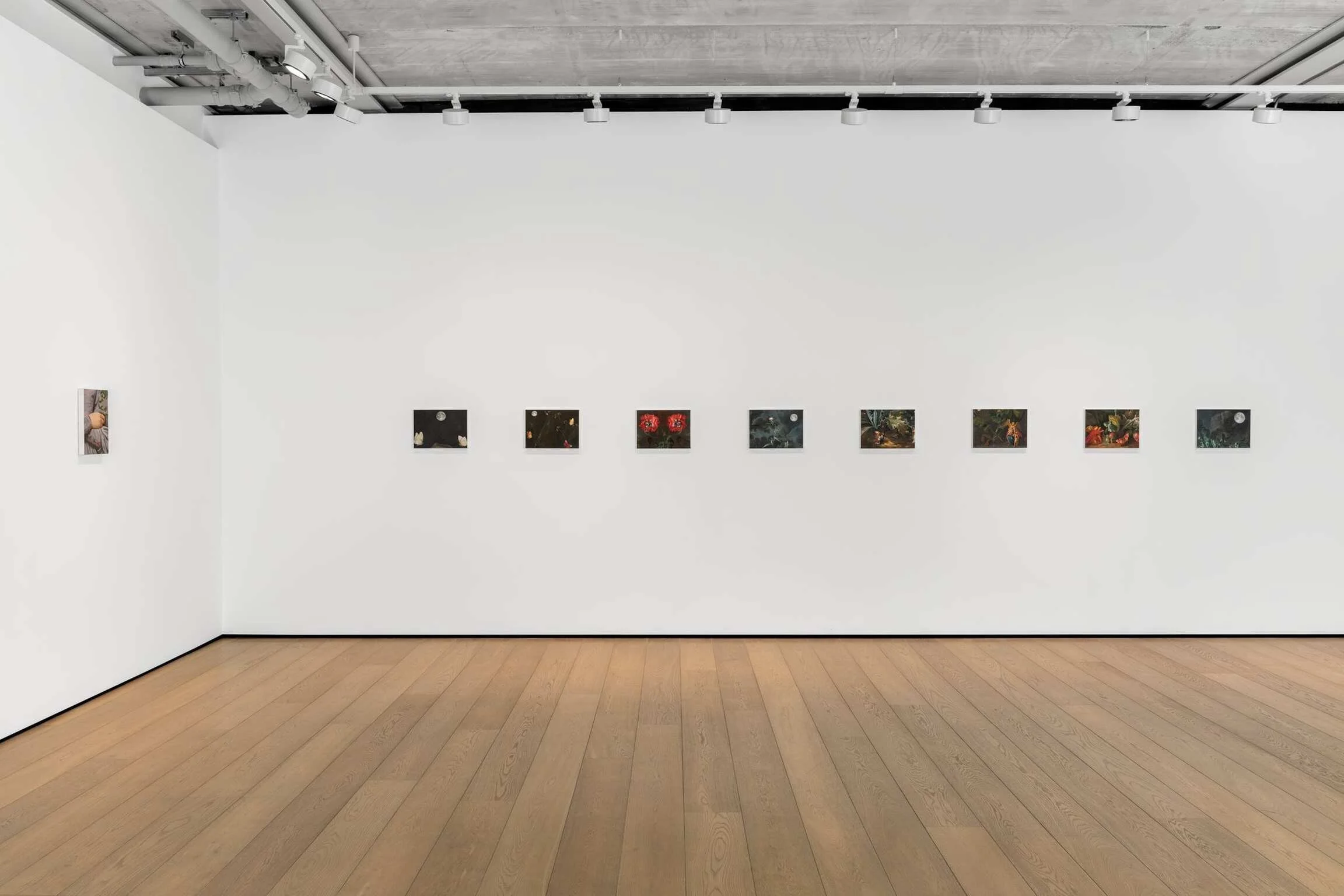 TED PIM INSTALLATION VIEW ARGL 2024_105046.jpeg