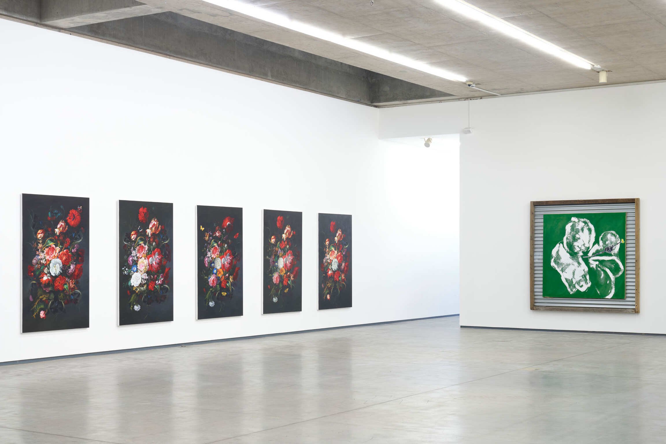 TED PIM THE MAC BELFAST 2024_00000000-046c-7fc4-0000-00000001e0d6.jpeg