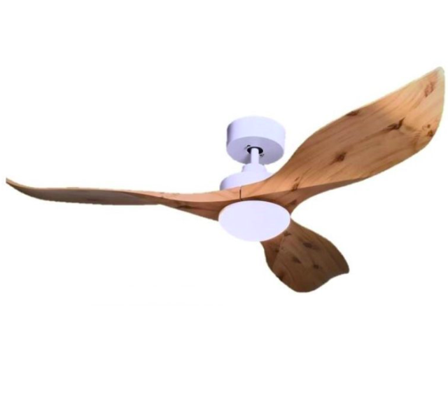 wooden fan.PNG