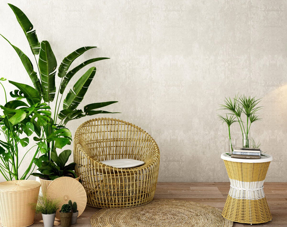 Decorate and Brighten Up Your Home with Indoor Plants — Arcade ...