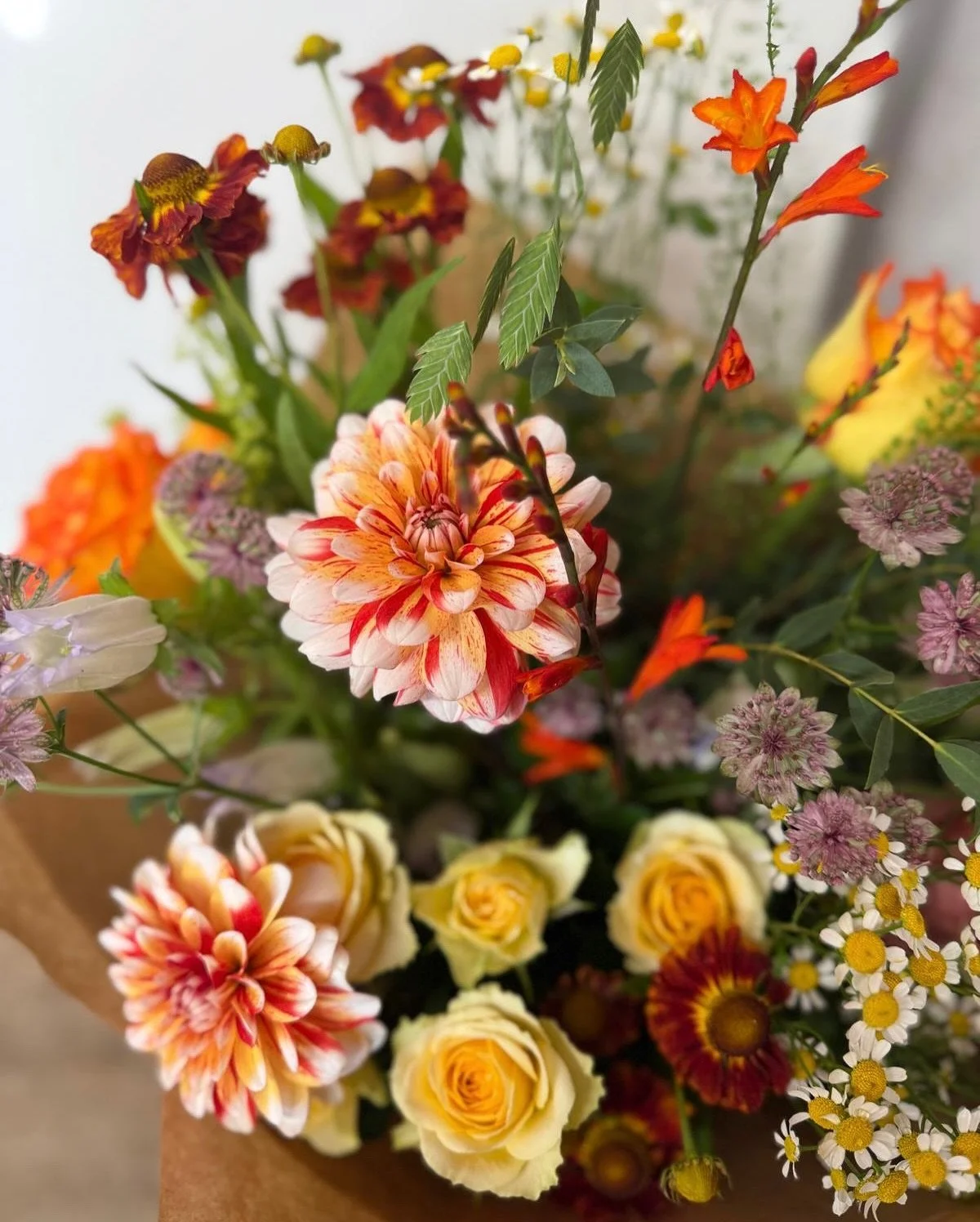 Lately... Autumn colours fresh from the workshop&hellip; 🍁🌼🍂🌾🌺
⠀⠀⠀⠀⠀⠀⠀⠀⠀
autumn bouquet, fall in bloom, seasonal flower arrangement, Ringwood florist
