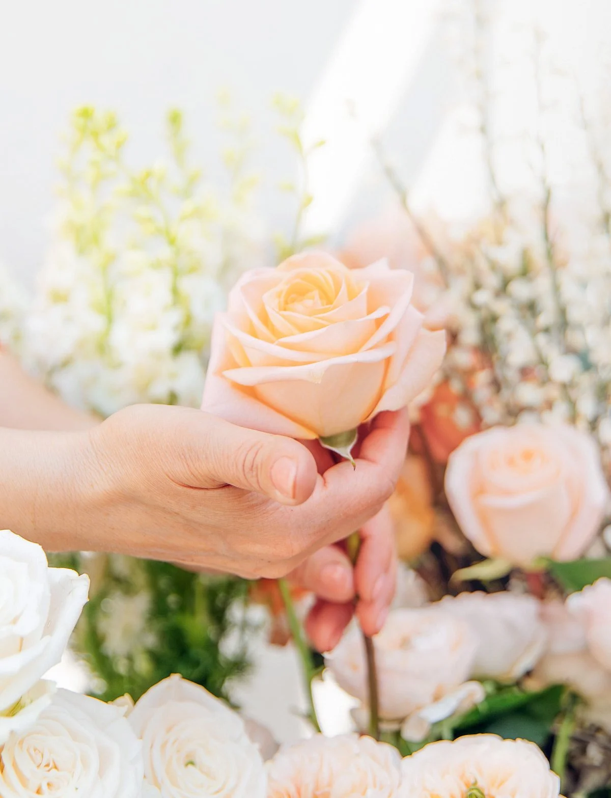 A florist’s hand holds a beautiful fresh flower from a bouquet.