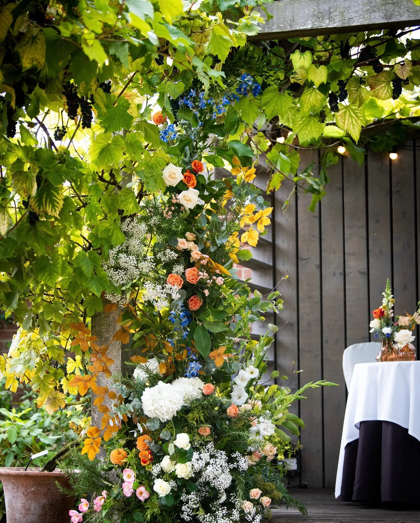 We&rsquo;ve officially reached that moment in January when I start daydreaming about what sunlight on green leaves looks like... ☀️ 🍃 💭
Photography by @abichadwickphotography
Venue: @chewtonglen @cgweddings
⠀⠀⠀⠀⠀⠀⠀⠀⠀
outdoor wedding flowers, floral
