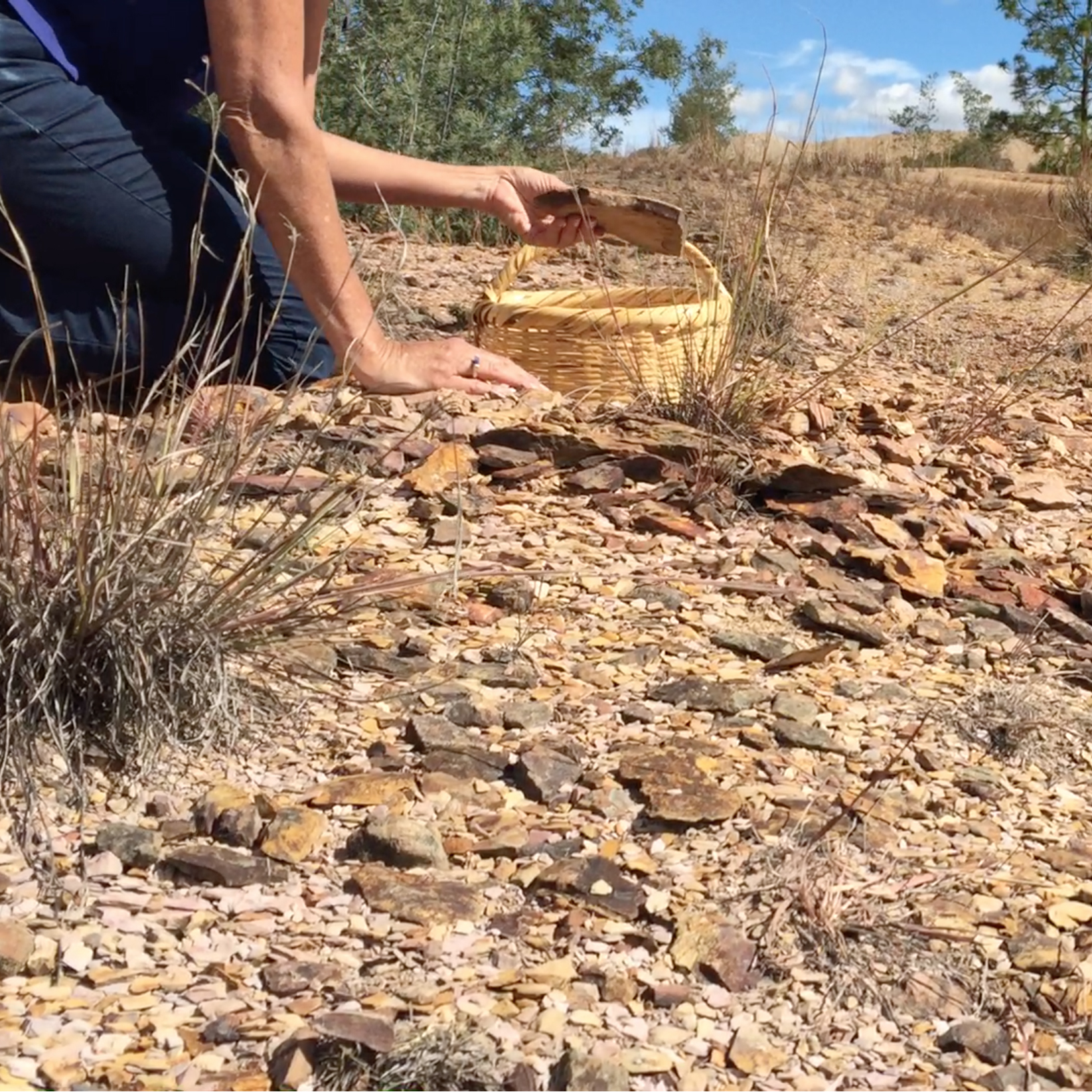 Gathering the rocks