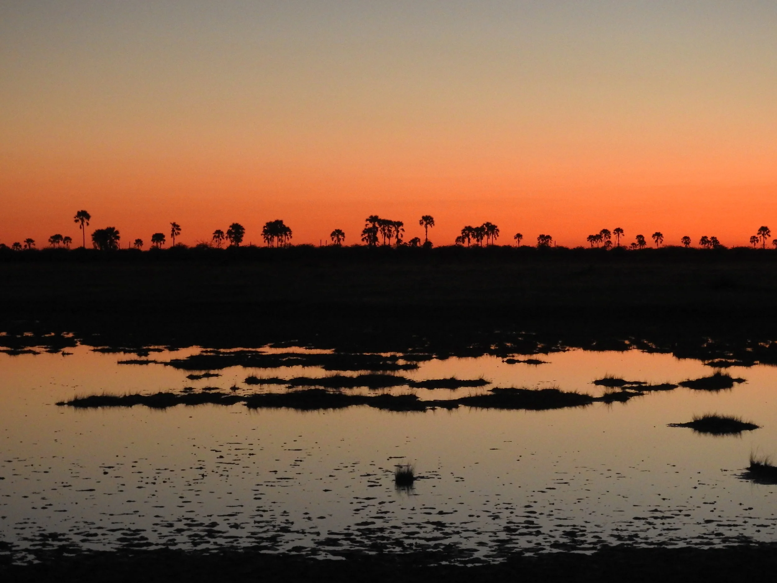 A brief guide to the Makgadikgadi Pans, Botswana