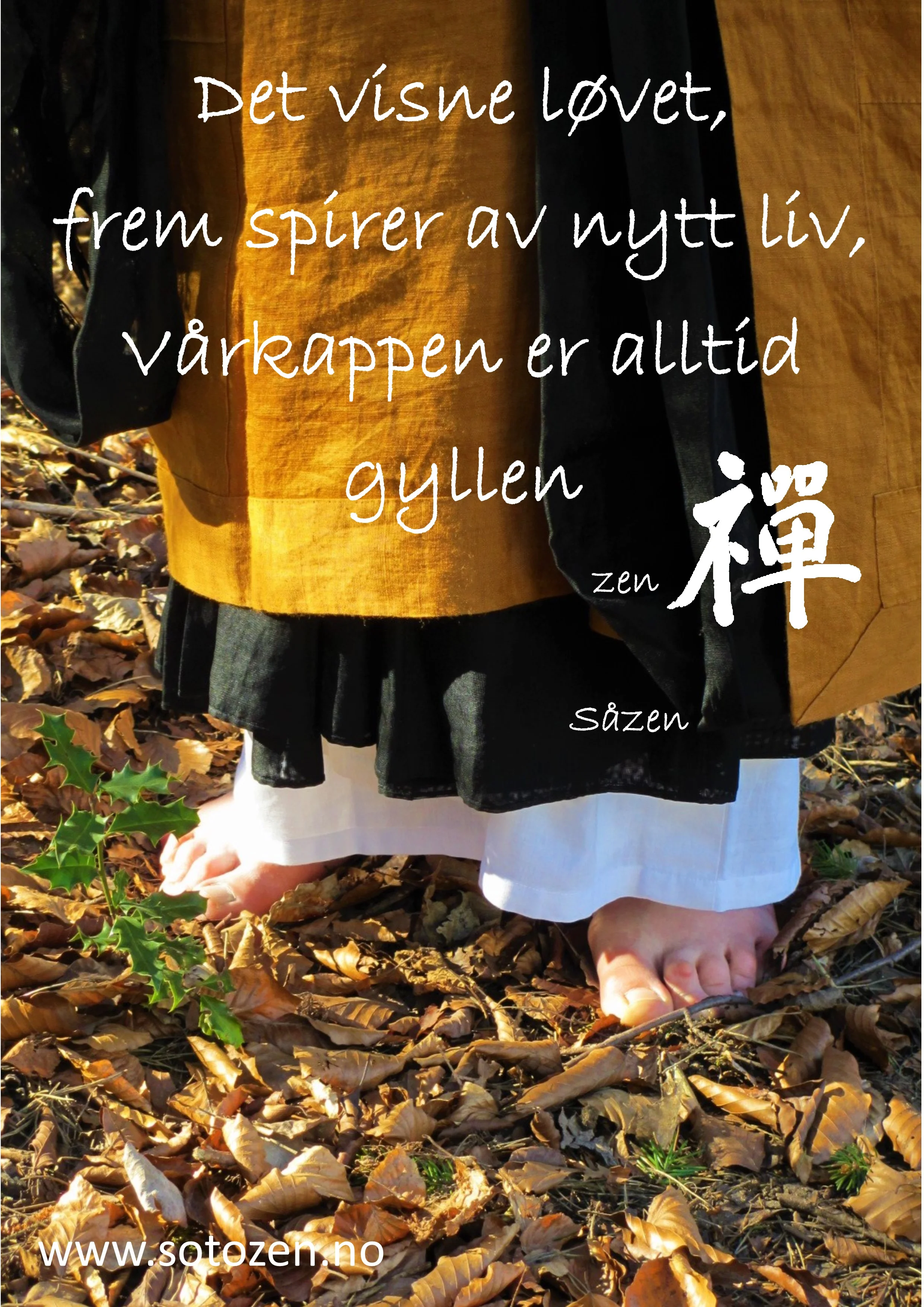 Vår haiku.jpg