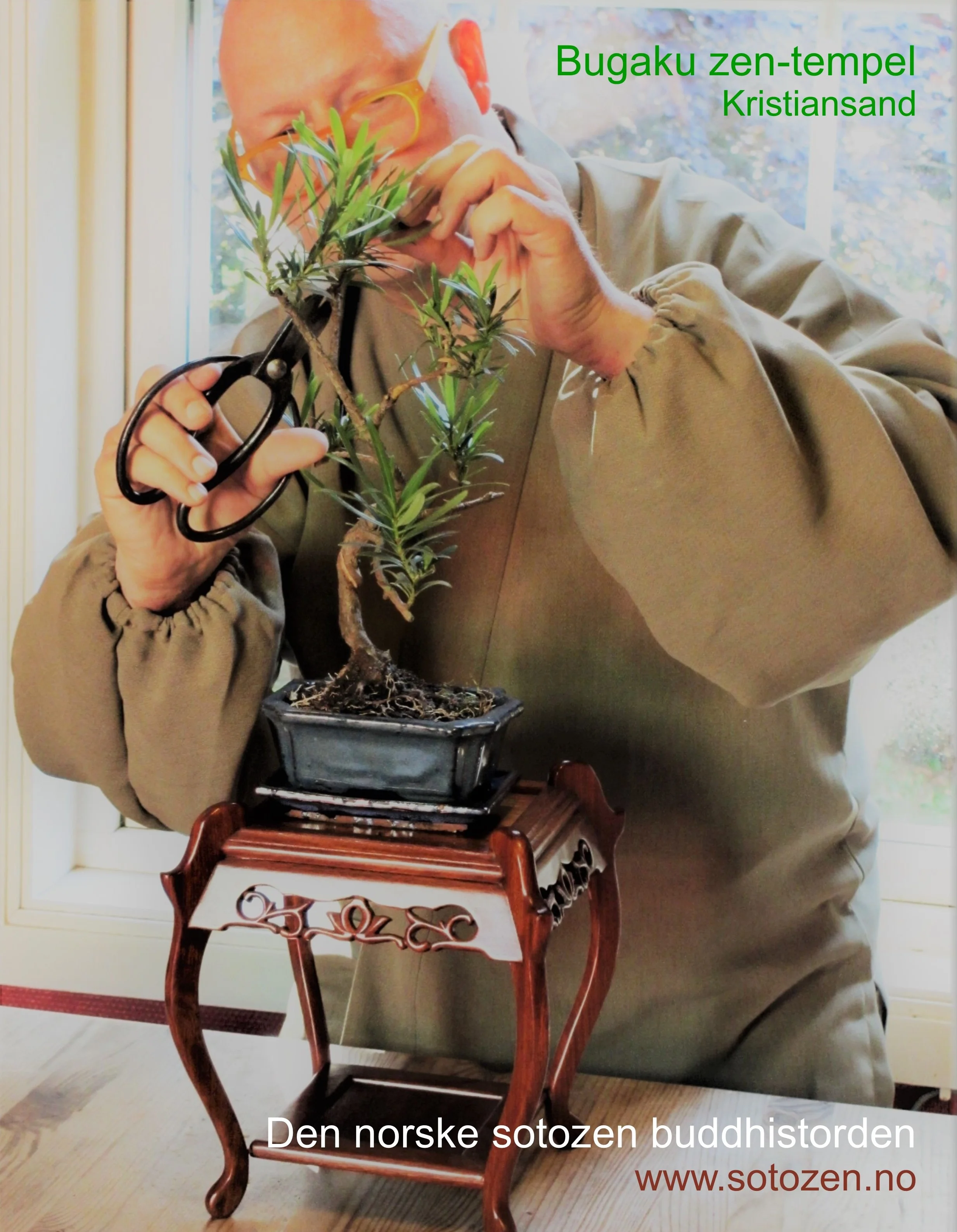 bonsai1.jpg