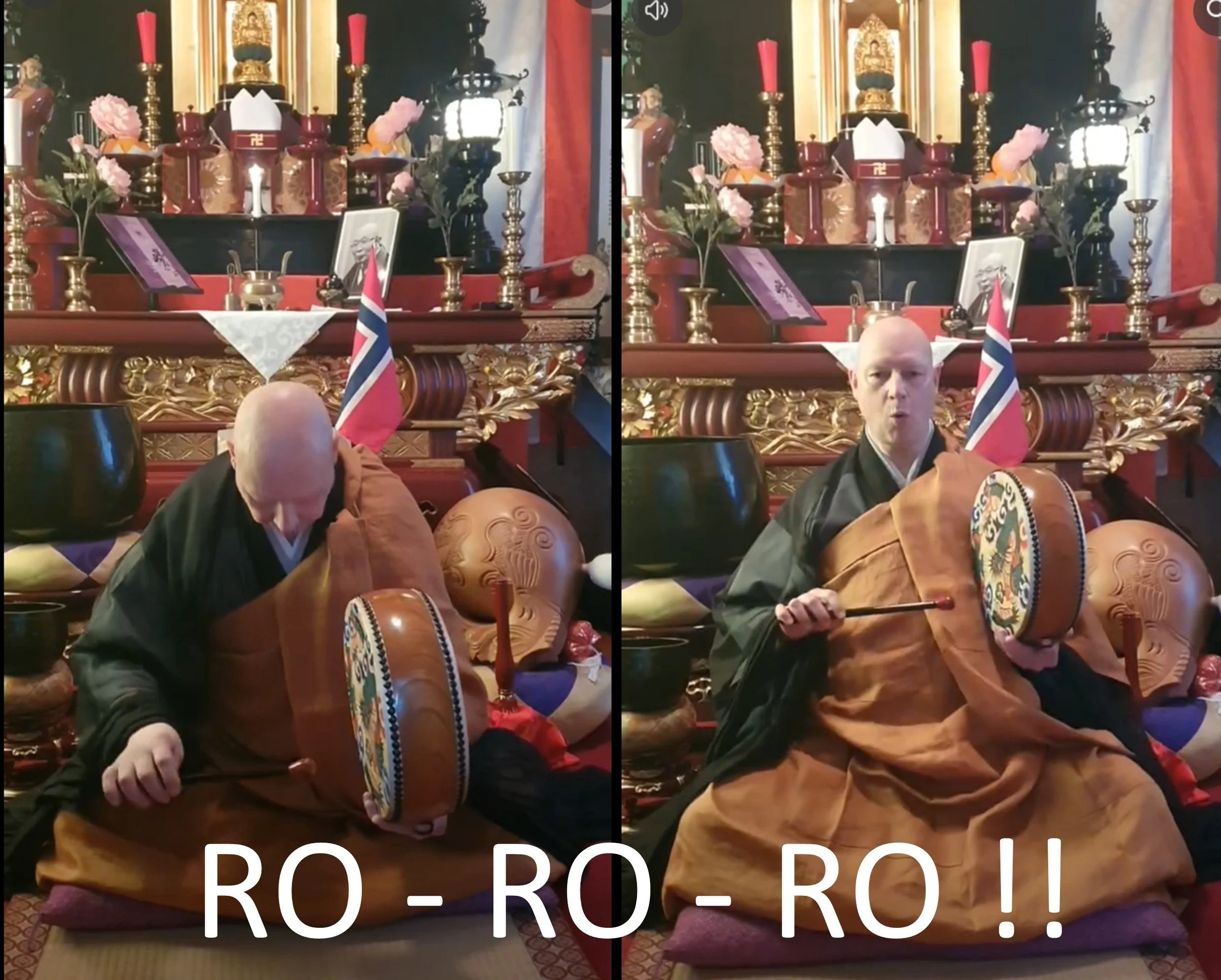 ro ro ro.jpg