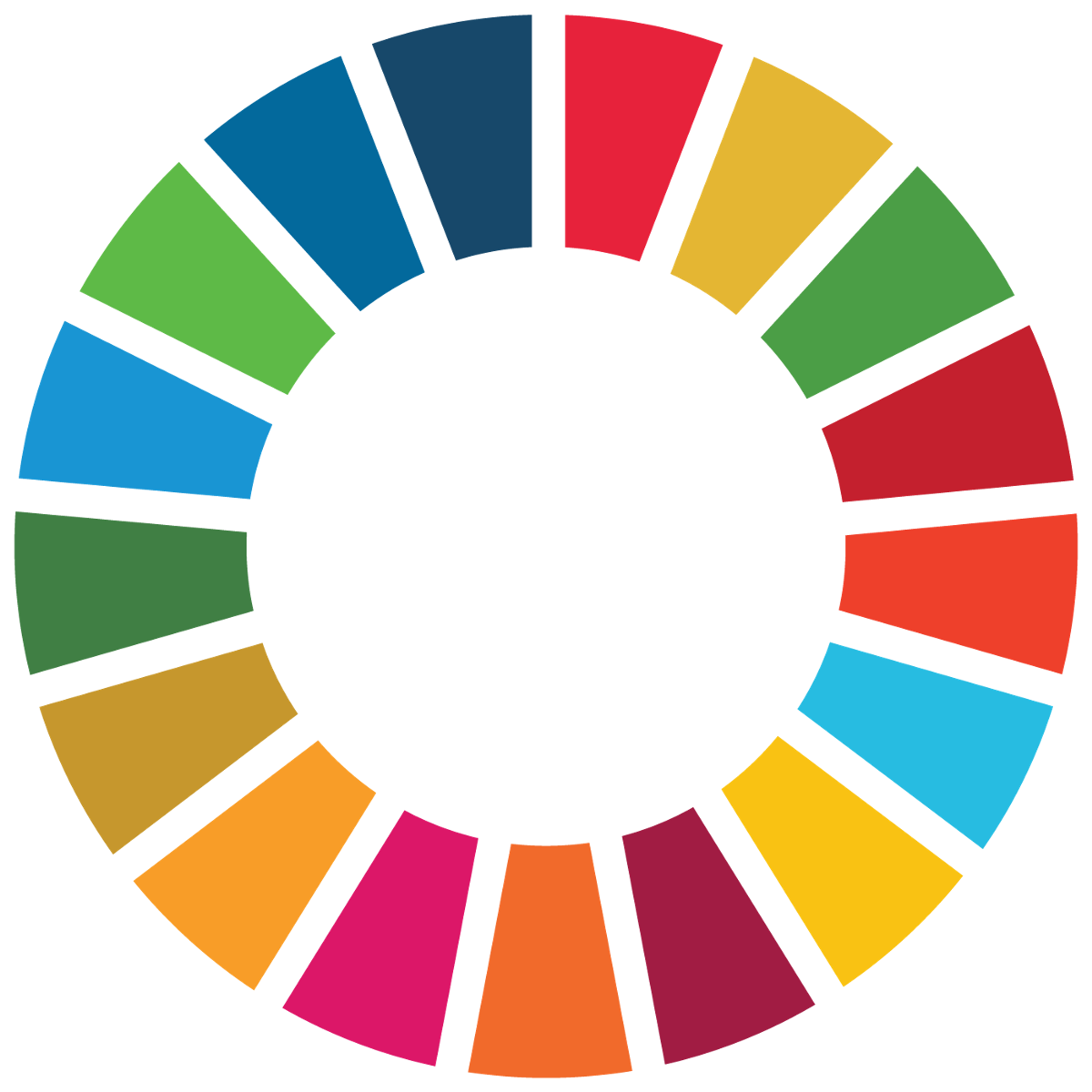 UN Sustainability Development Goal Logo