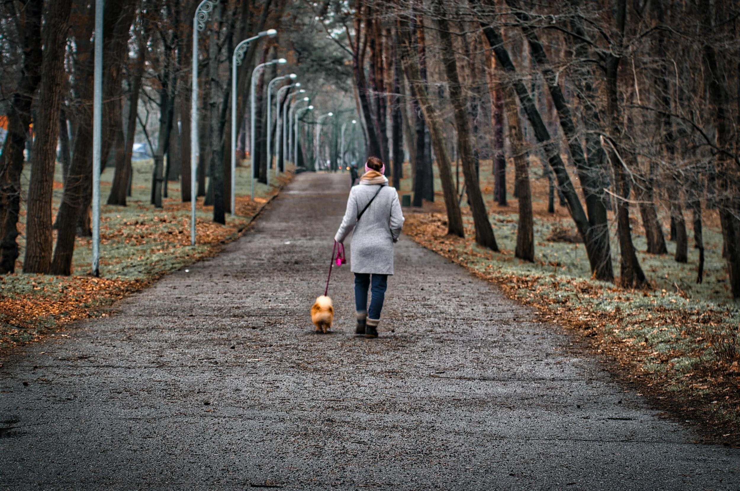 How Walking Helps Reverse the Effects of Seasonal Affective Disorder