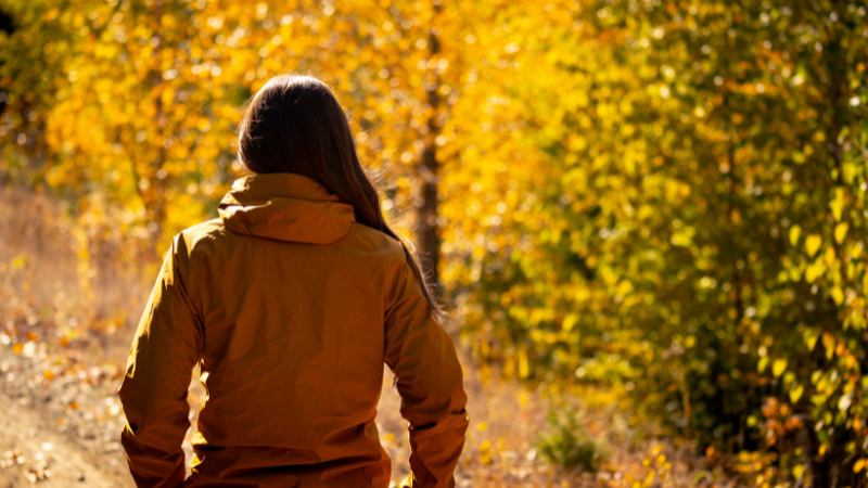 9 Reasons to Take a Gratitude Walk — 99Walks