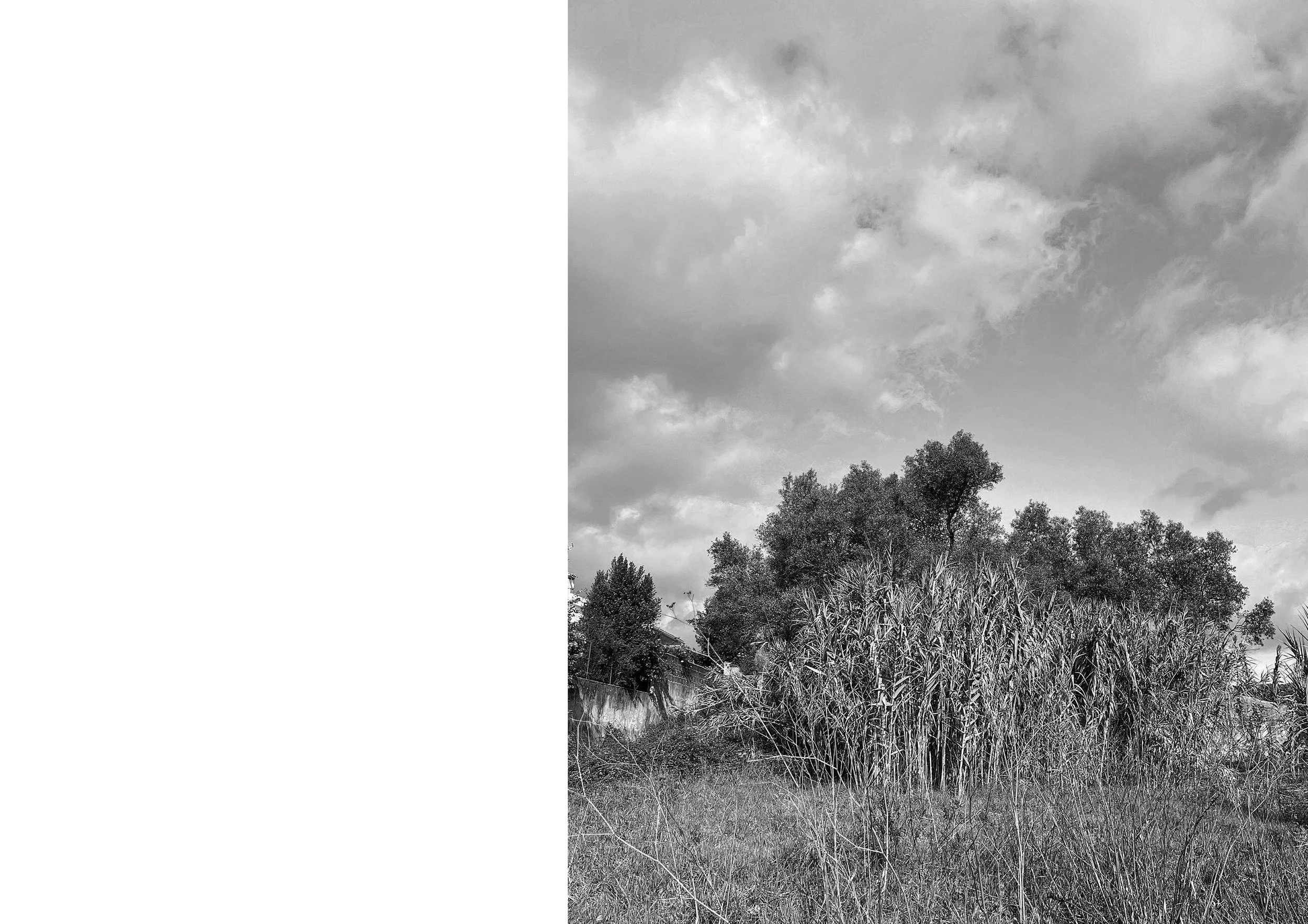 House in Bicesse_FT 3 copy.JPG