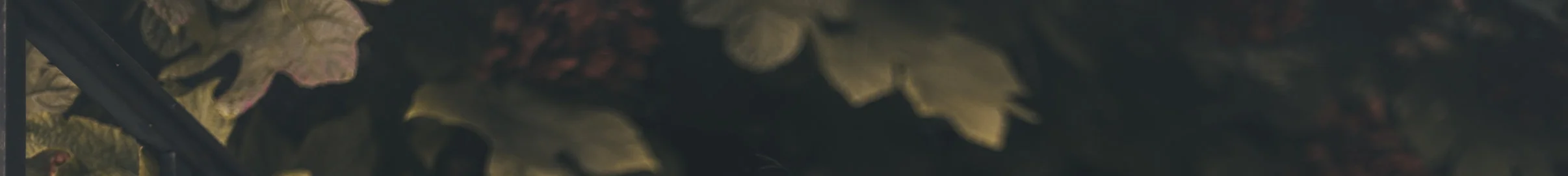 Sam-1.jpg