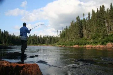 Salmon Fishing on the Humber River
