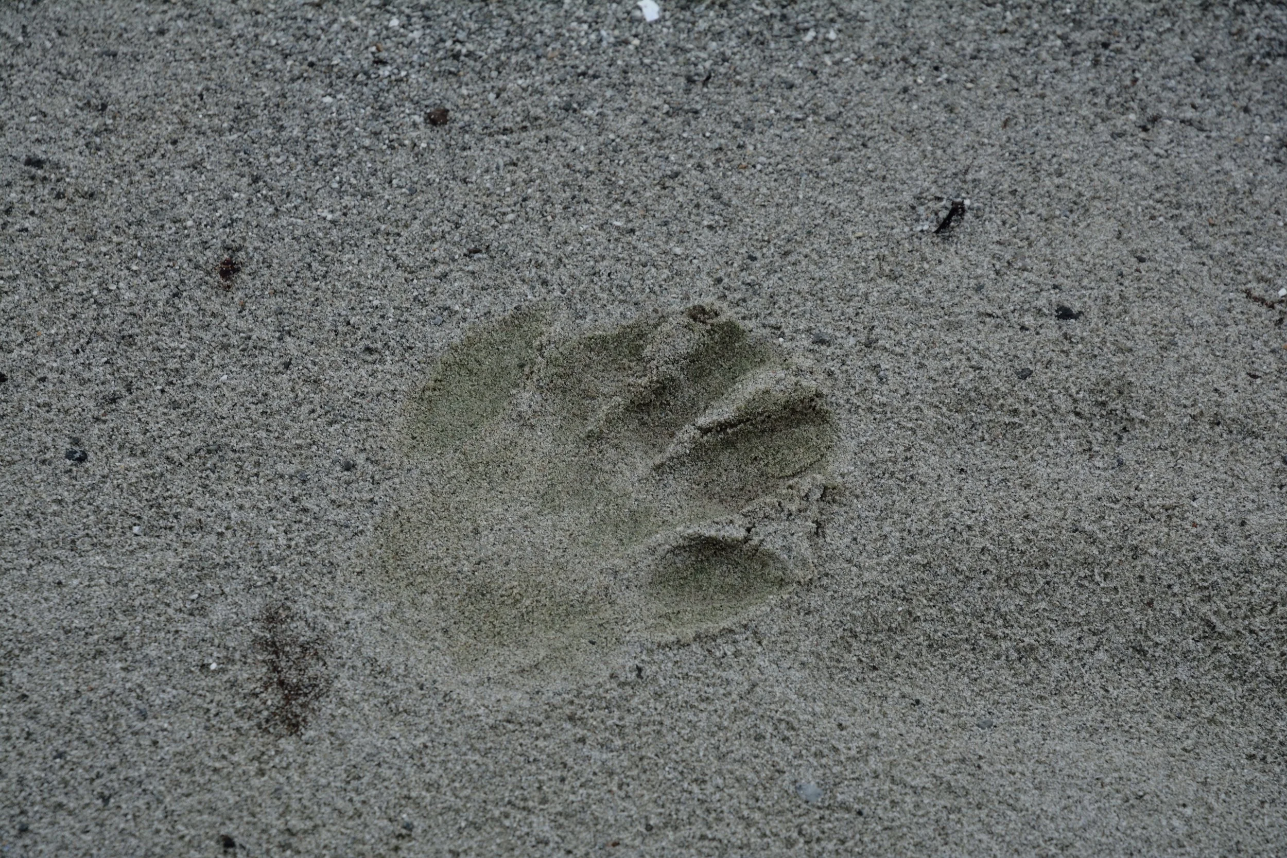 DSC_5454_027.jpg
