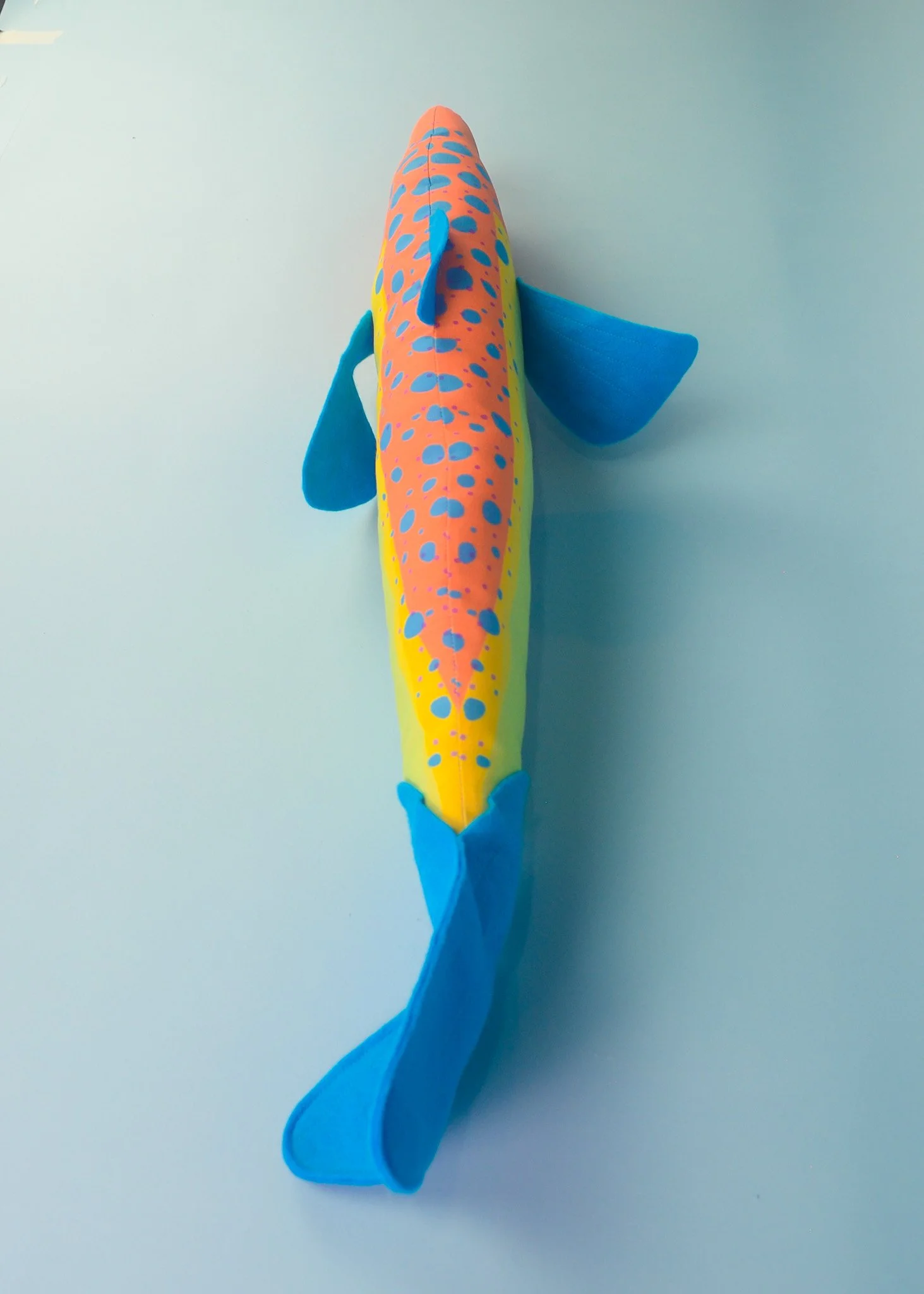 fish-top.jpg