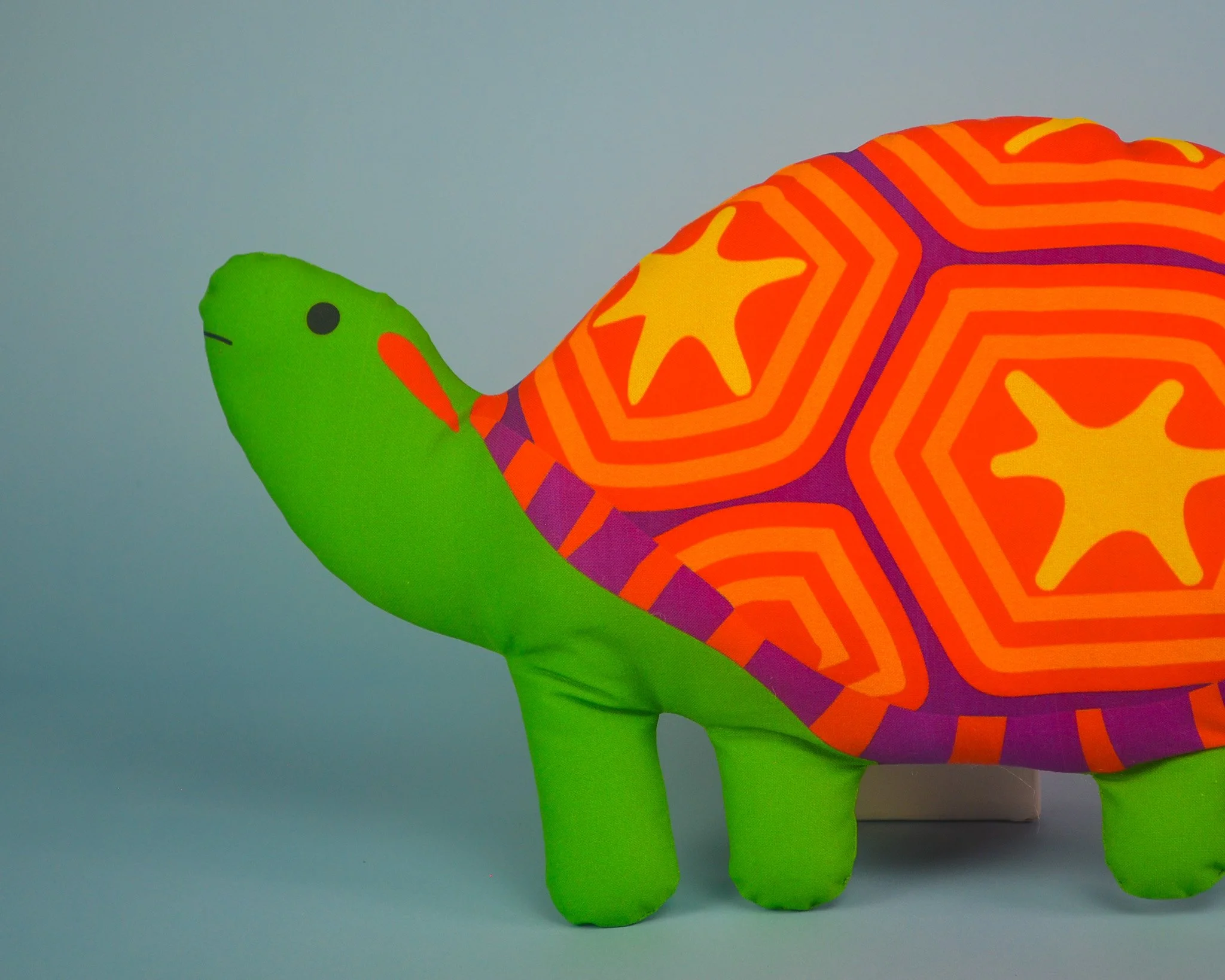 turtle-closeup.jpg