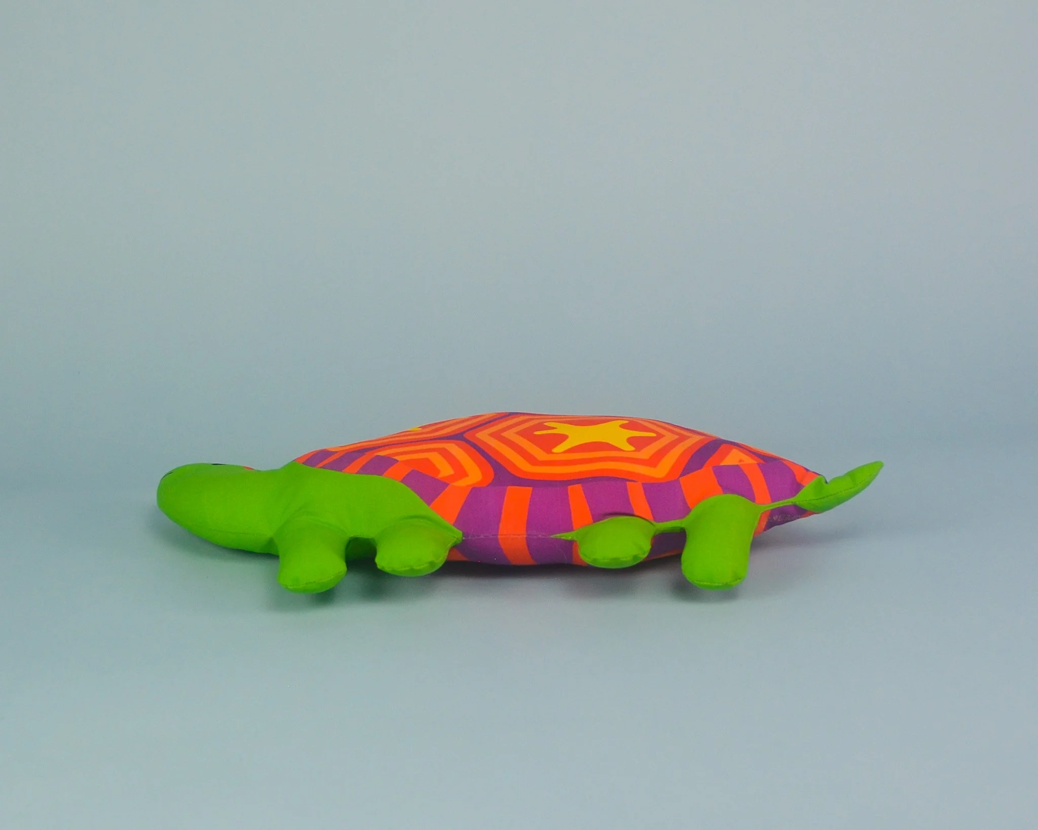 turtle-laydown.jpg